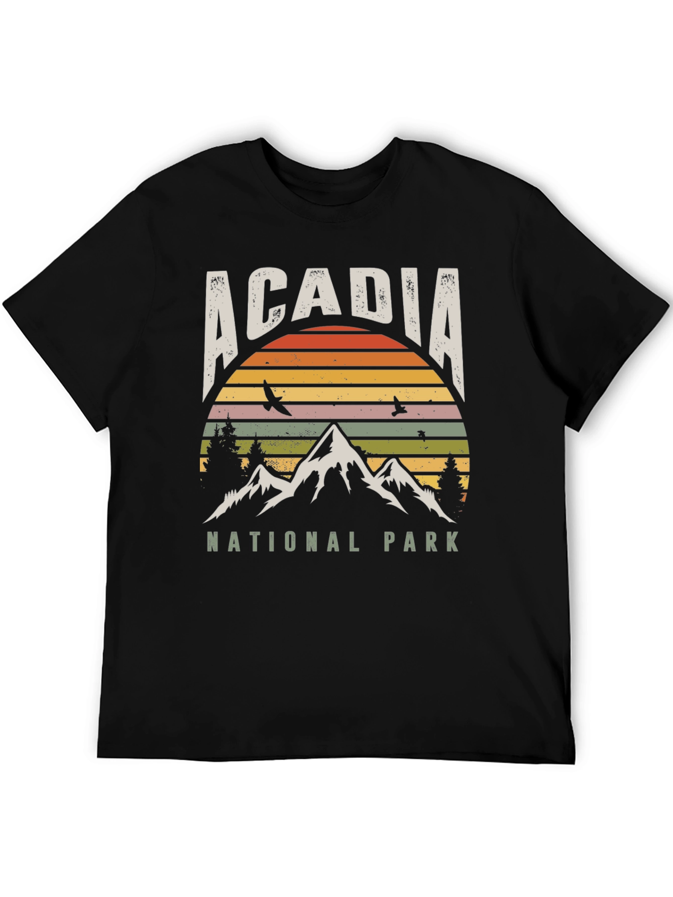 Acadia National Park Retro T-Shirt