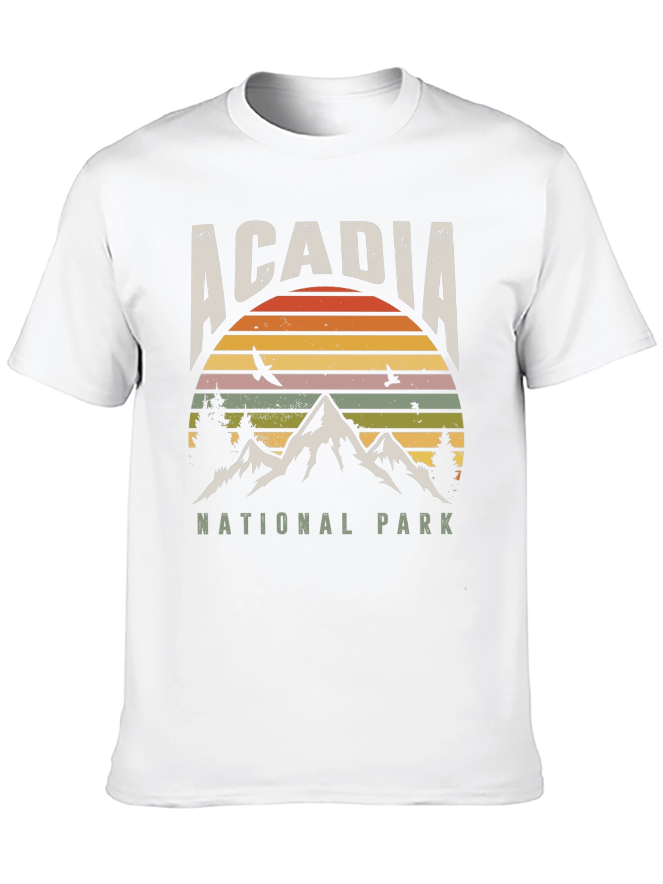 Acadia National Park Retro T-Shirt