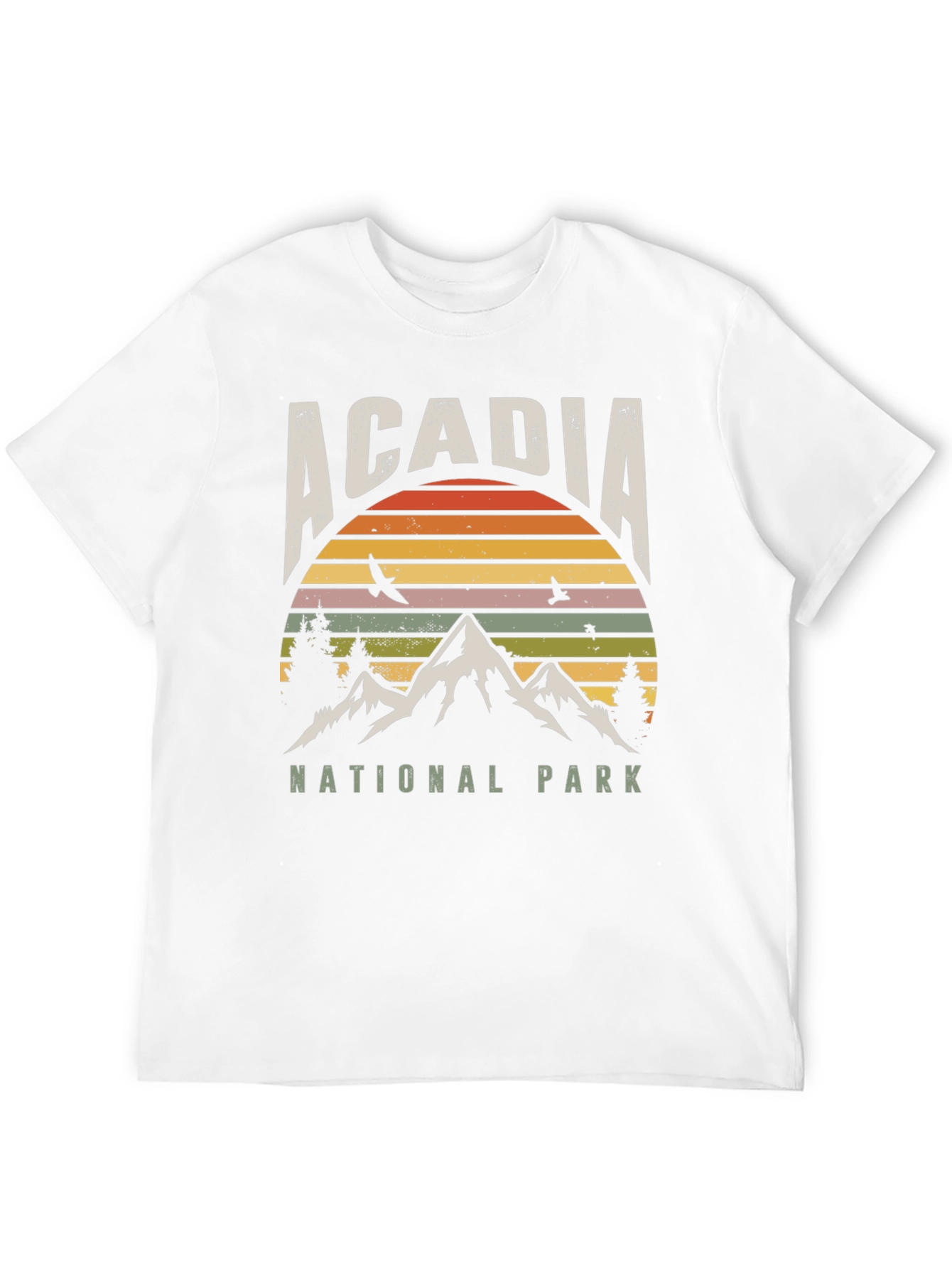 Acadia National Park Retro T-Shirt