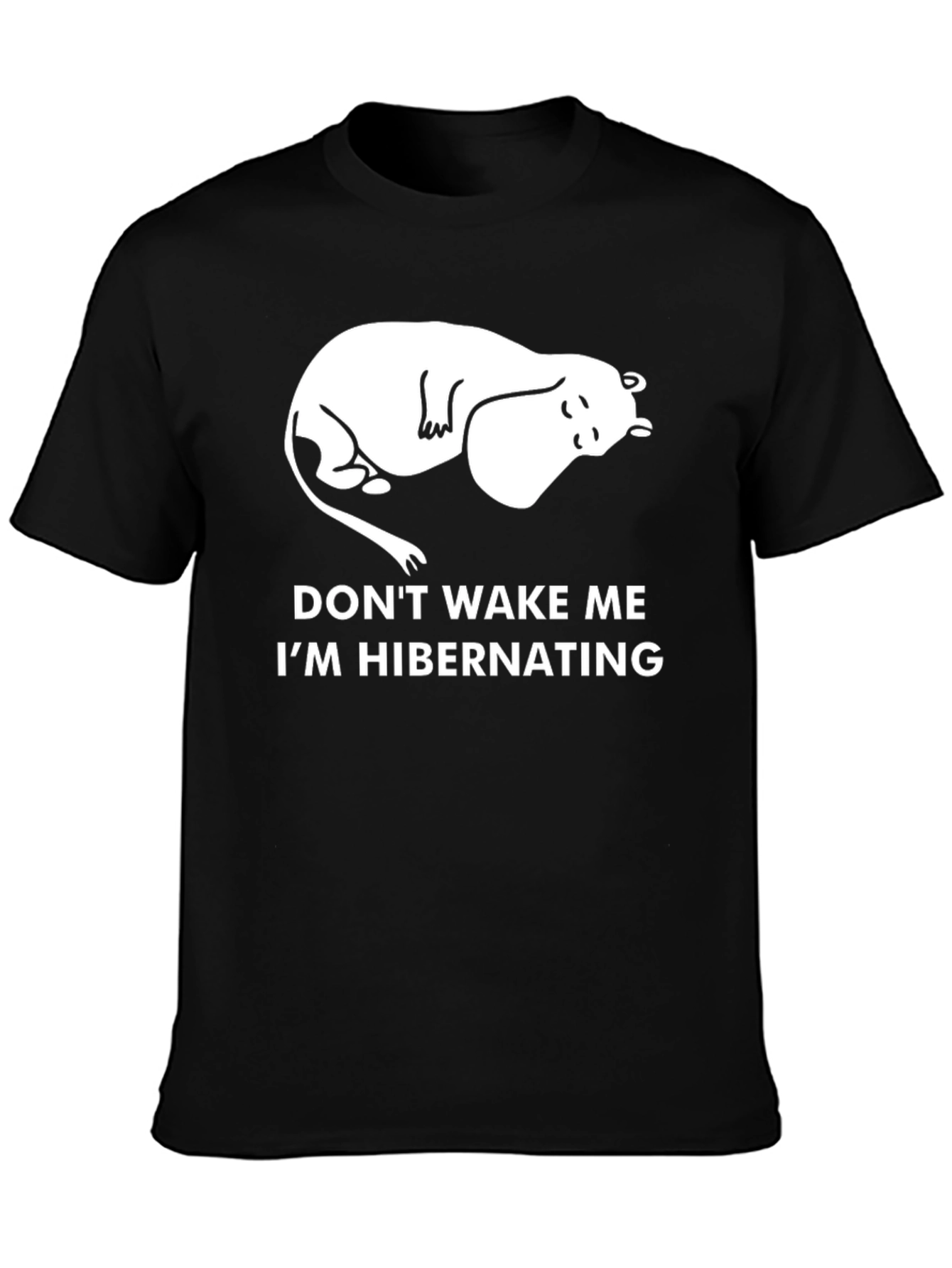 Dont Wake Me Hibernating T-Shirt