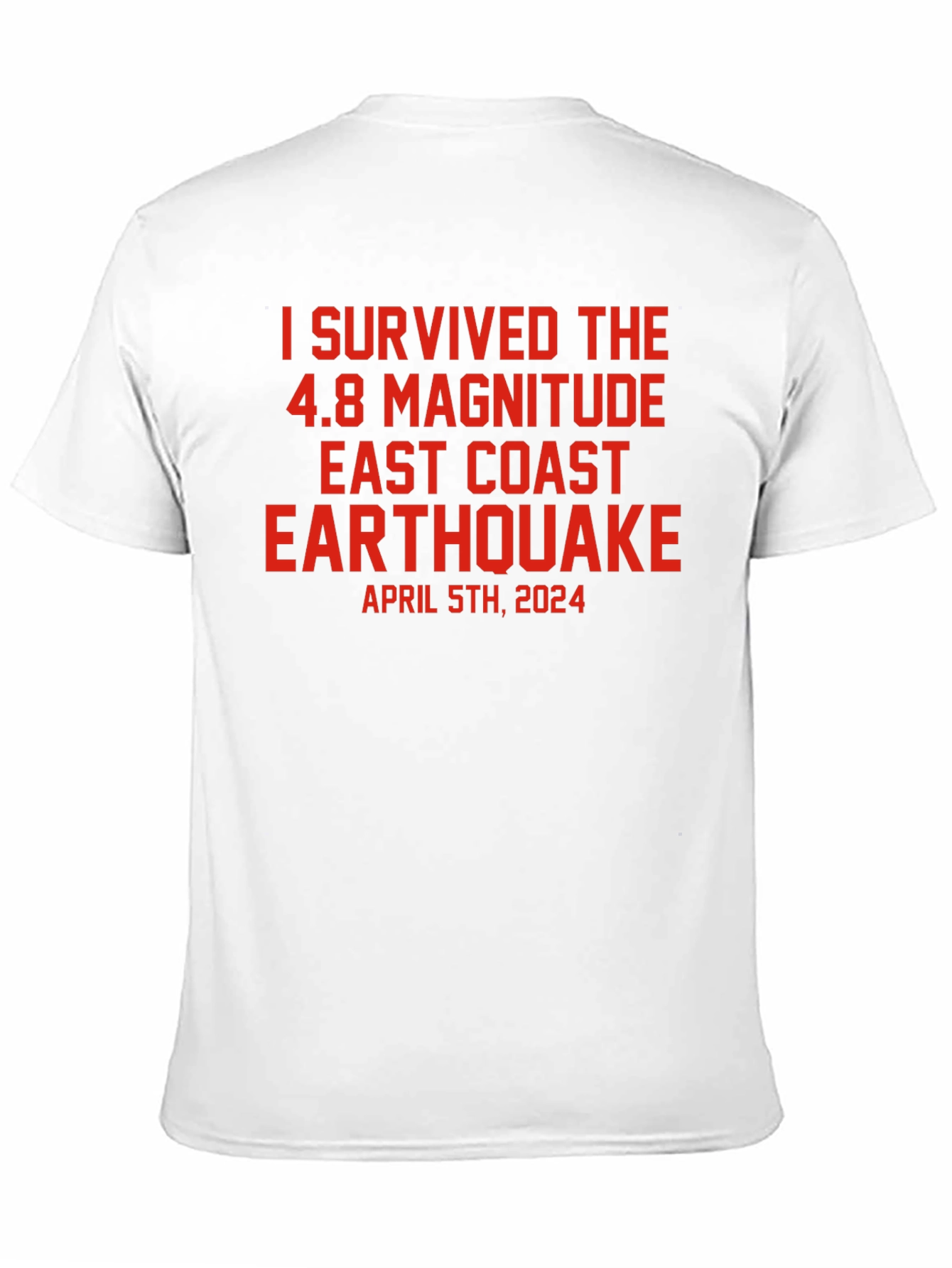I Survived 4.8 East Coast Earthquake T-Shirt