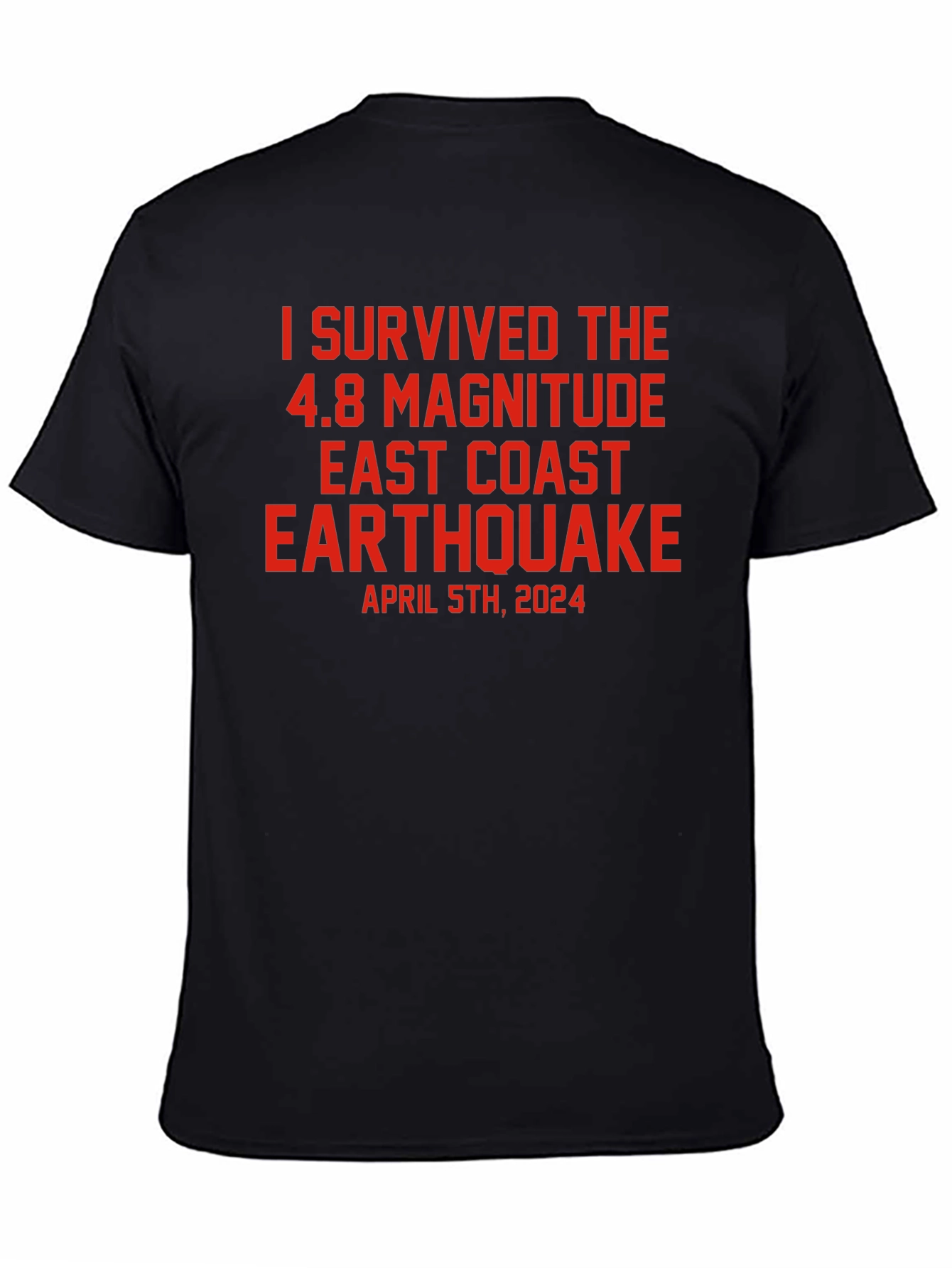 I Survived 4.8 East Coast Earthquake T-Shirt