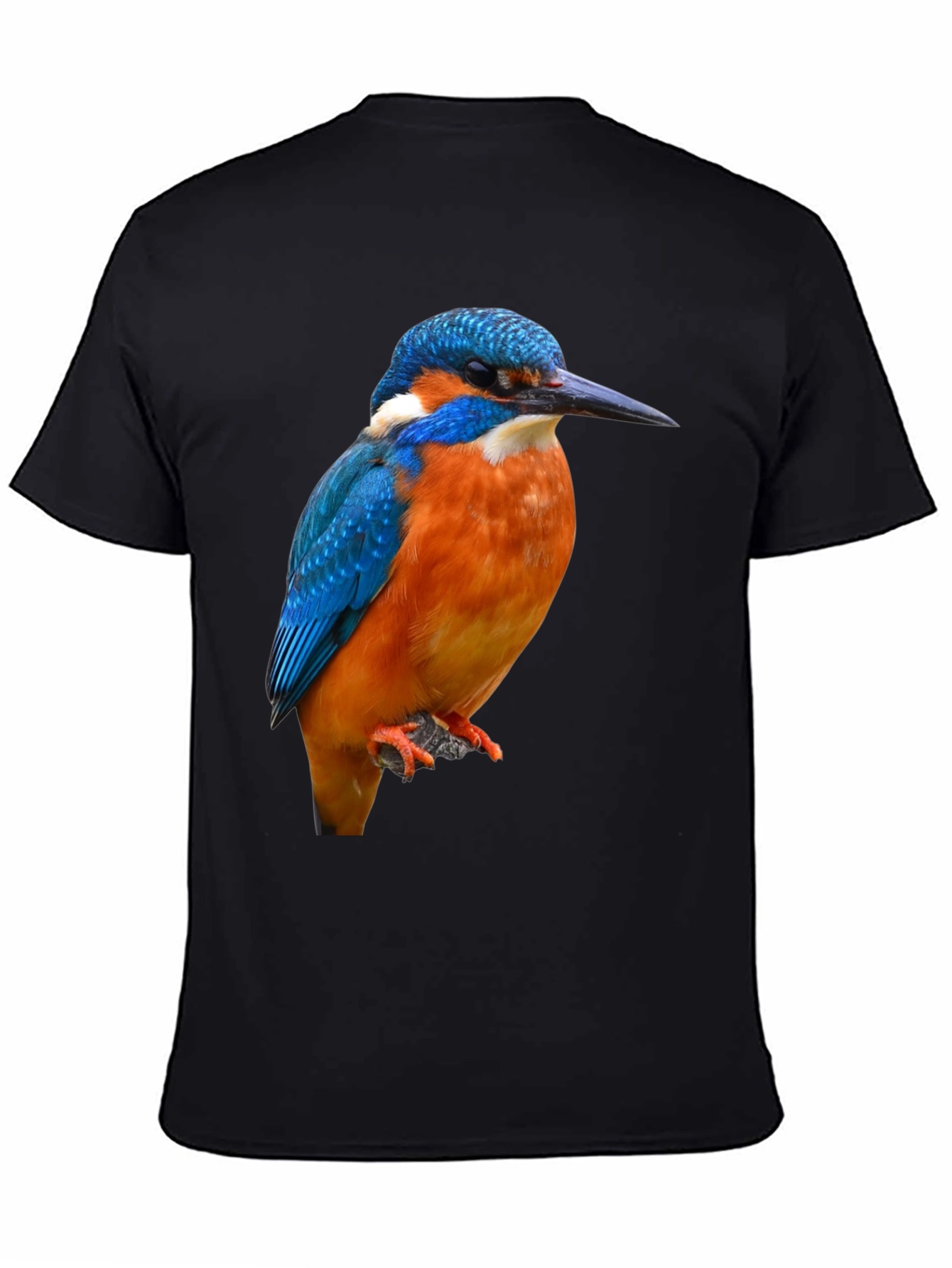 Kingfisher Bird Graphic Print T-Shirt