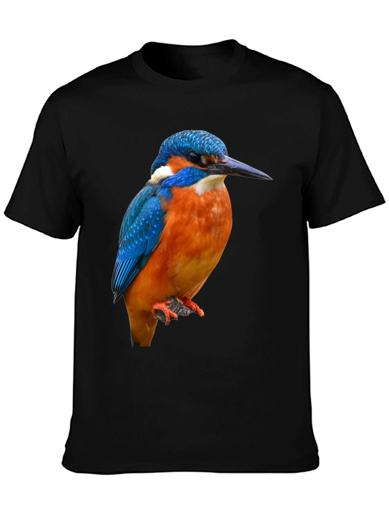 Kingfisher Bird Graphic Print T-Shirt