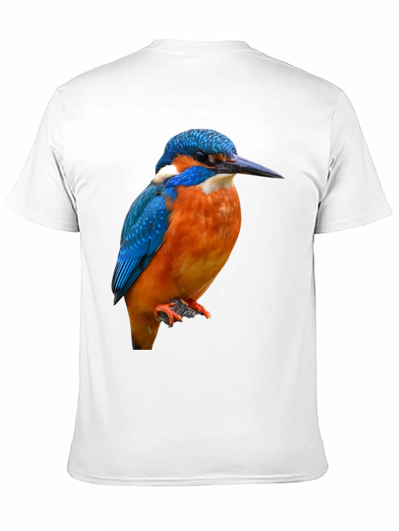 Kingfisher Bird Graphic Print T-Shirt