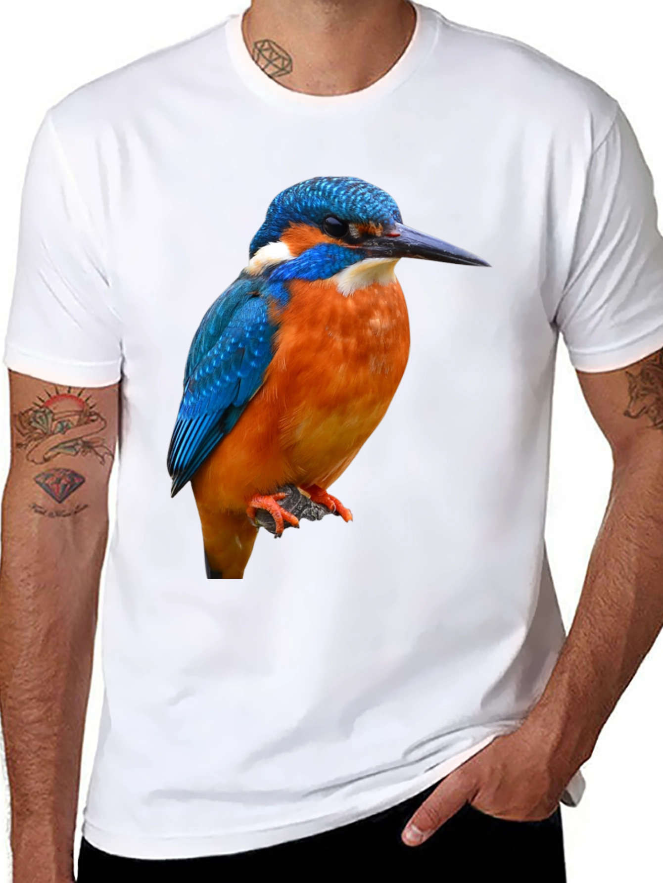 Kingfisher Bird Graphic Print T-Shirt