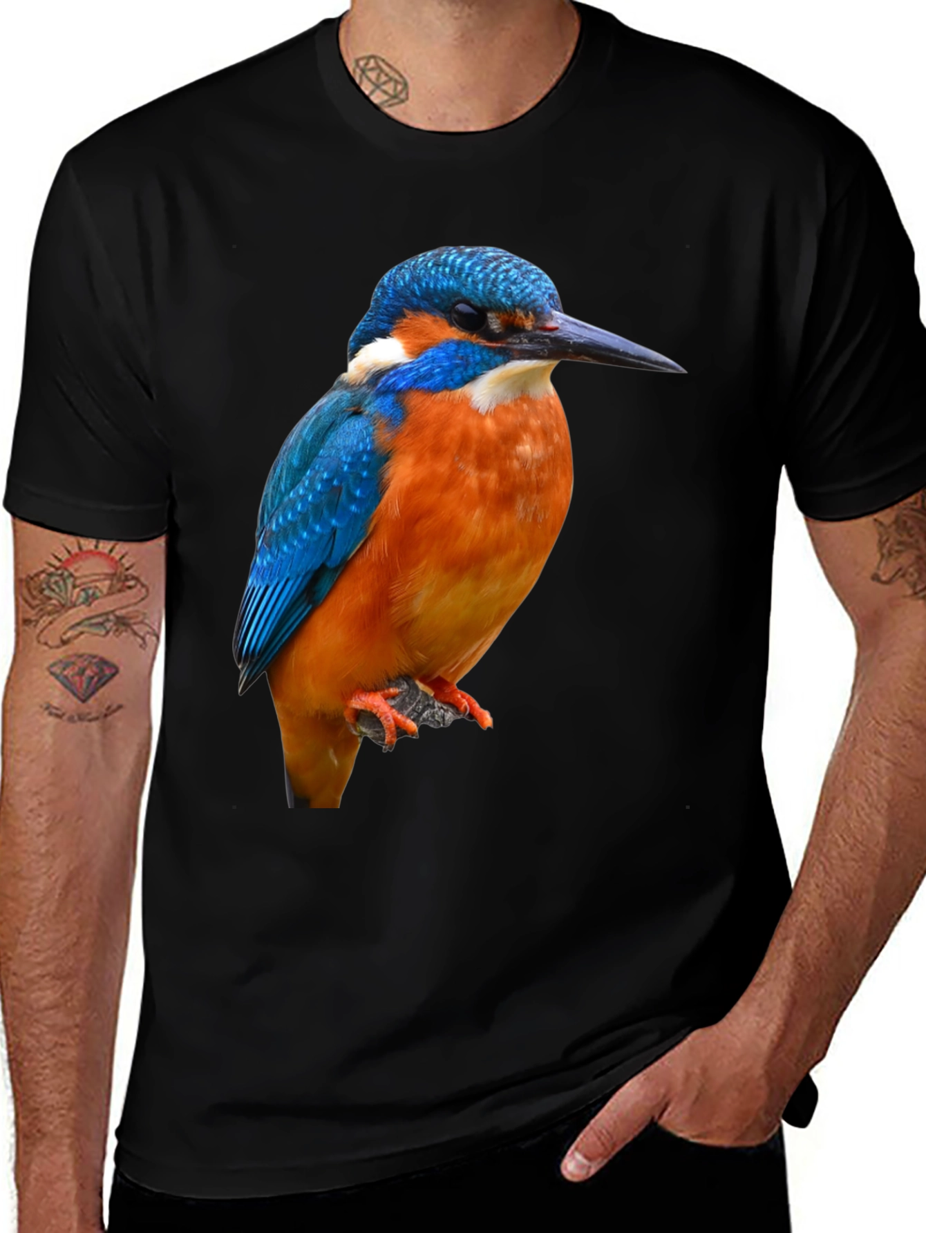 Kingfisher Bird Graphic Print T-Shirt