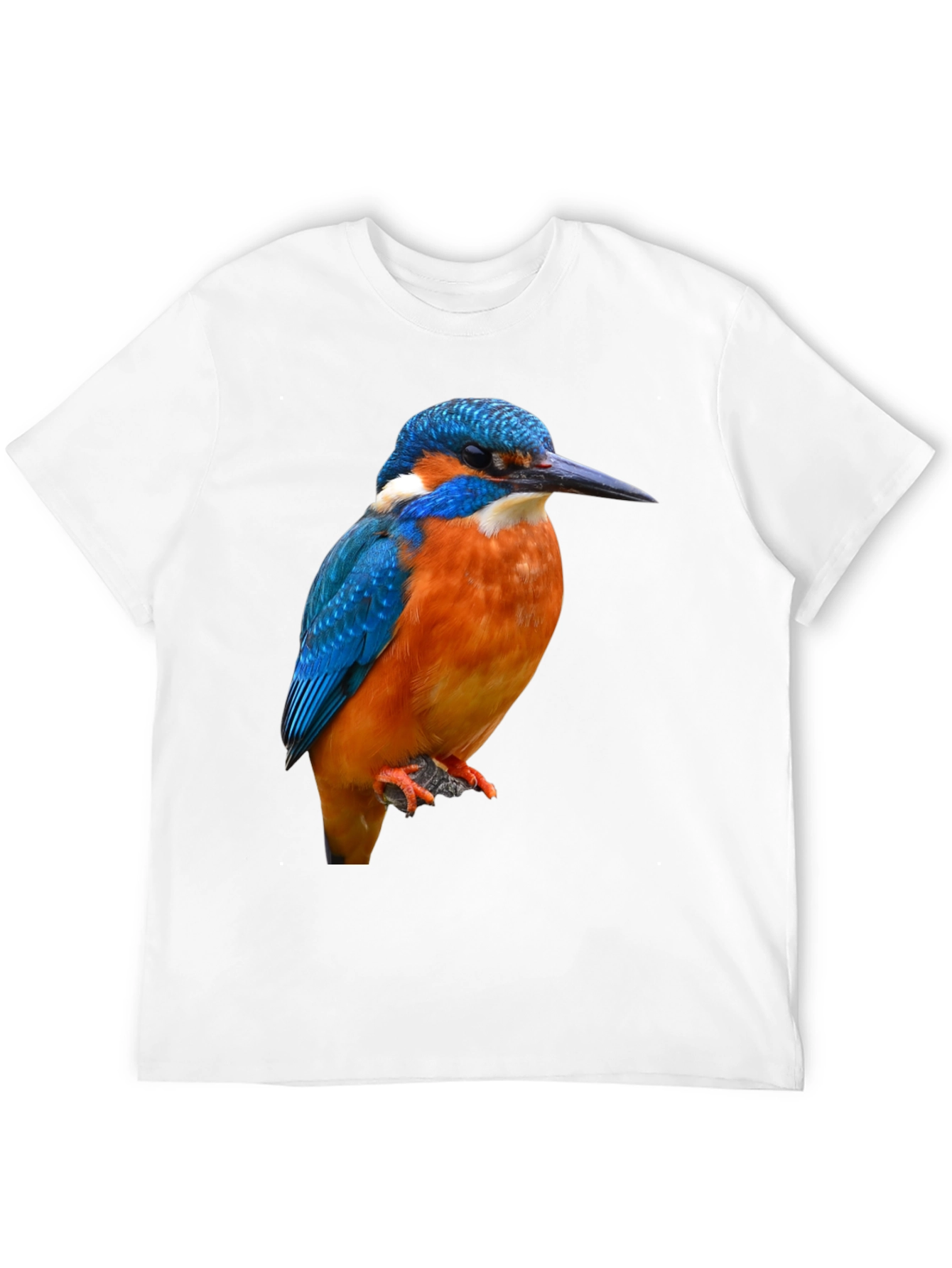 Kingfisher Bird Graphic Print T-Shirt