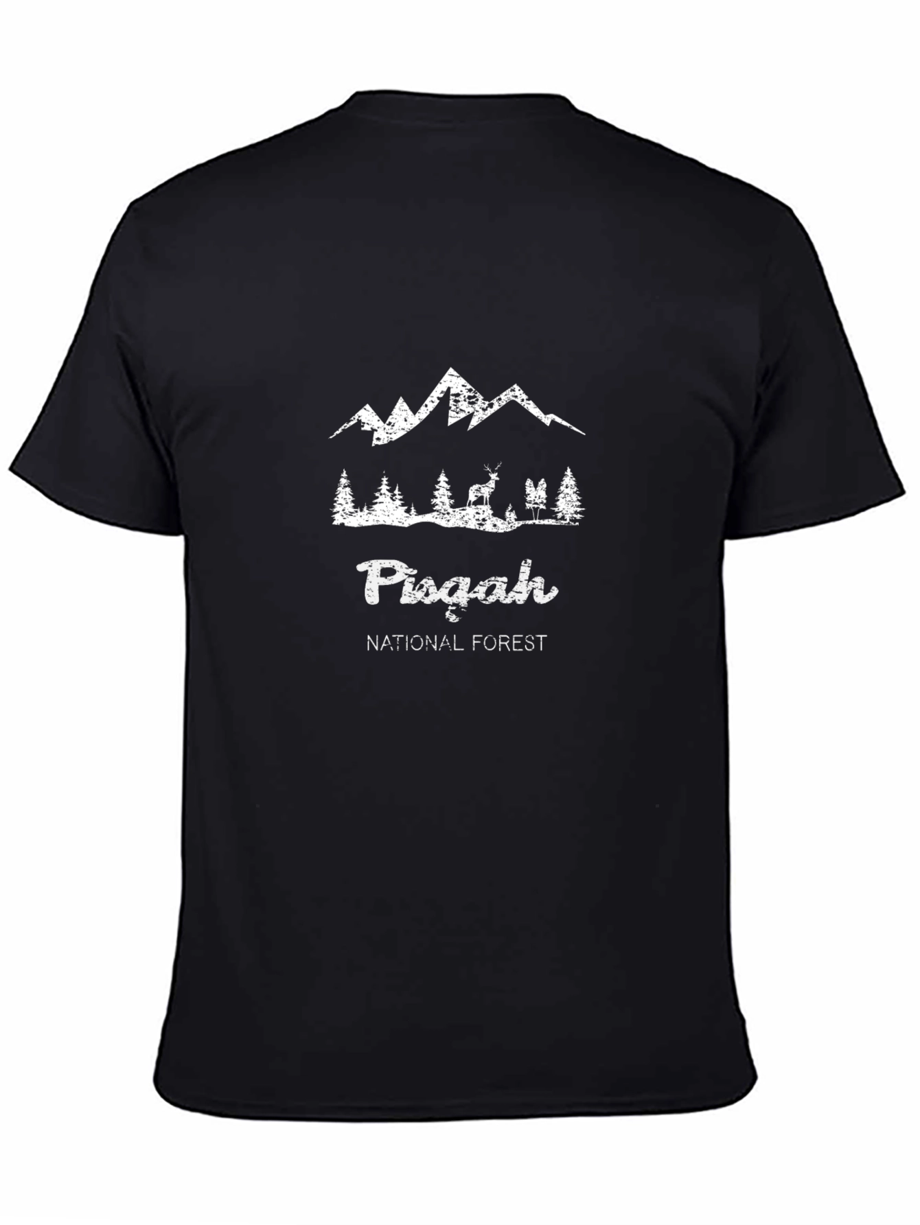 Pisgah National Forest Graphic Tee - Black