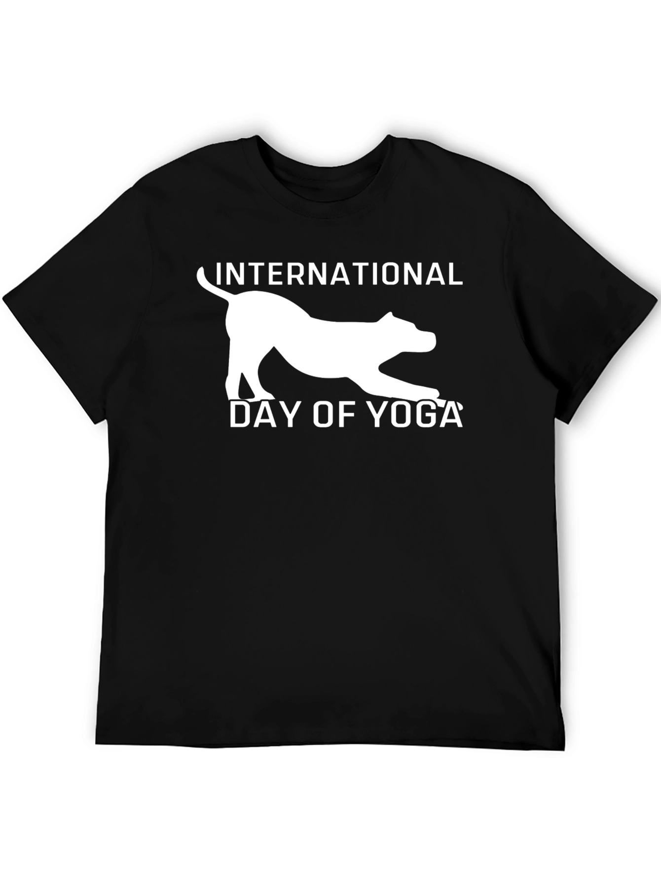International Day of Yoga Graphic Tee
