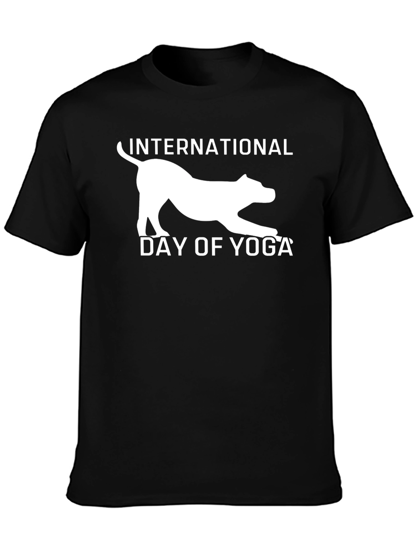 International Day of Yoga Graphic Tee