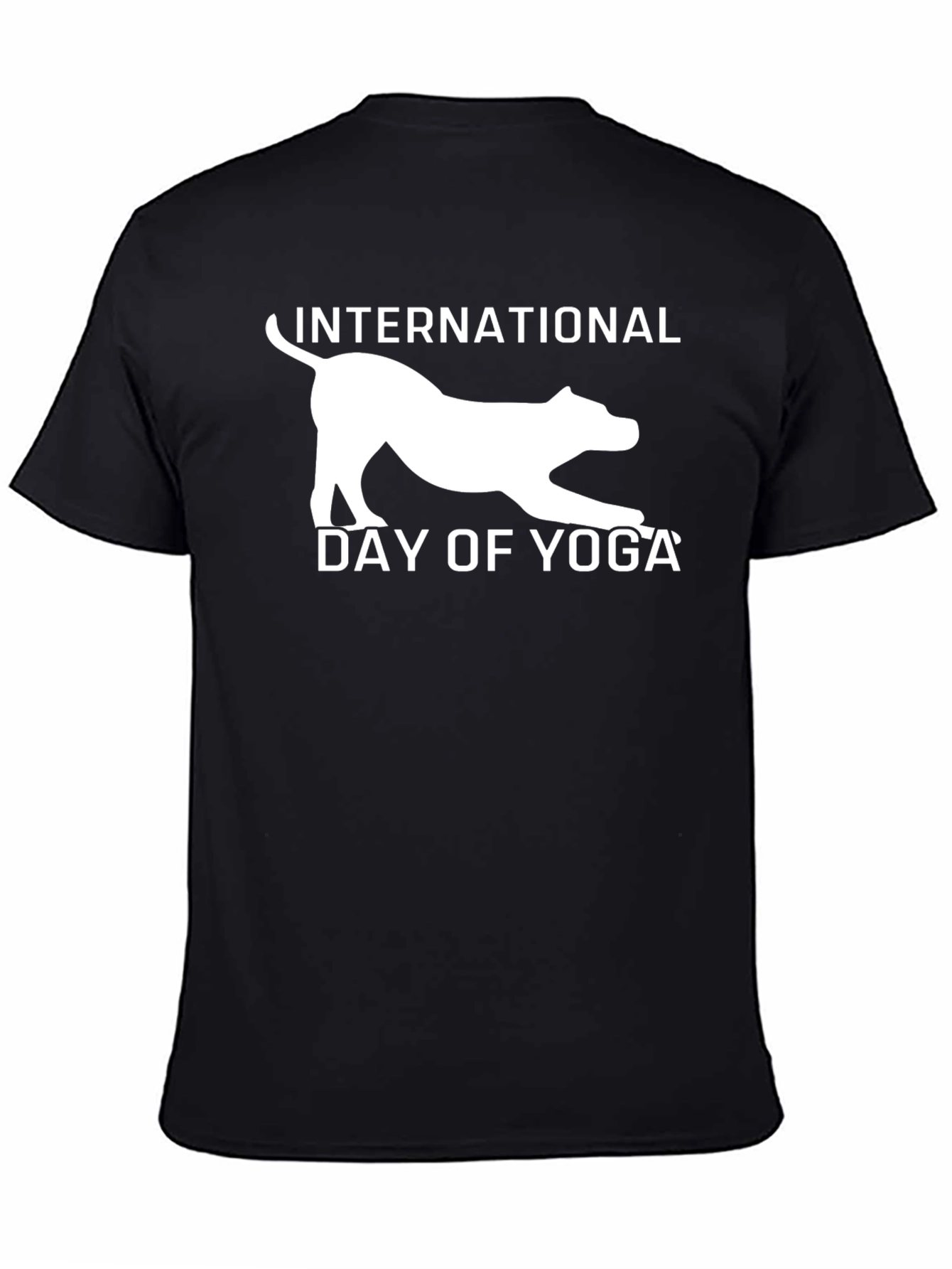International Day of Yoga Graphic Tee