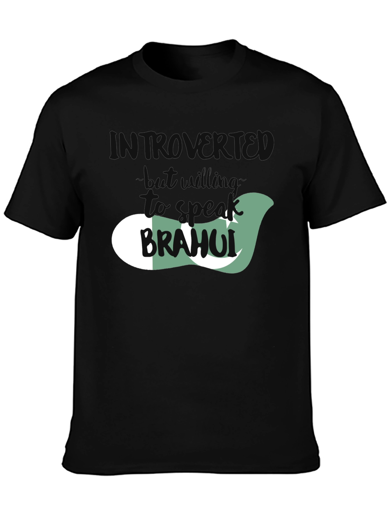 Introvert T-Shirt with Pakistan Flag Design