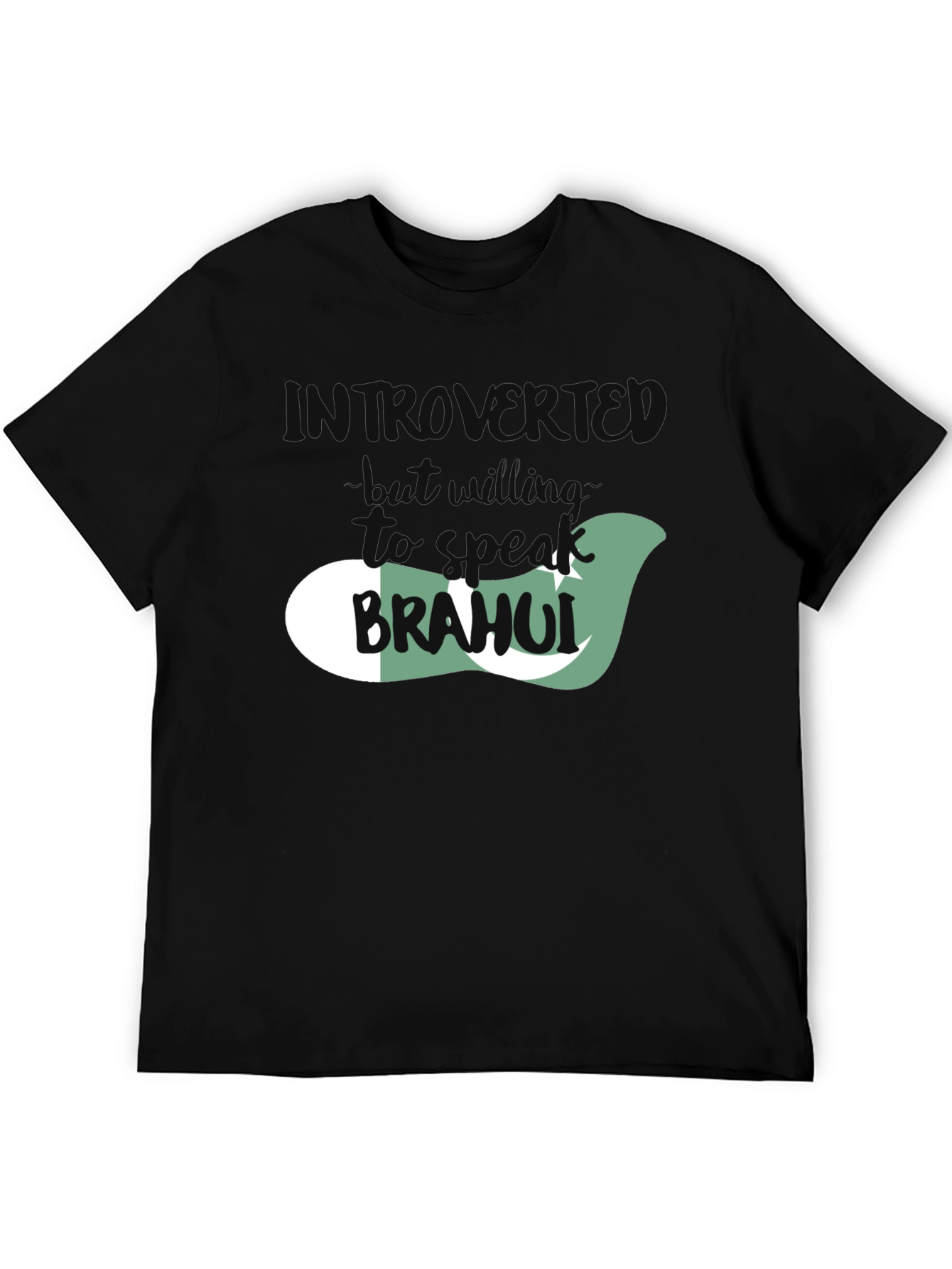 Introvert T-Shirt with Pakistan Flag Design
