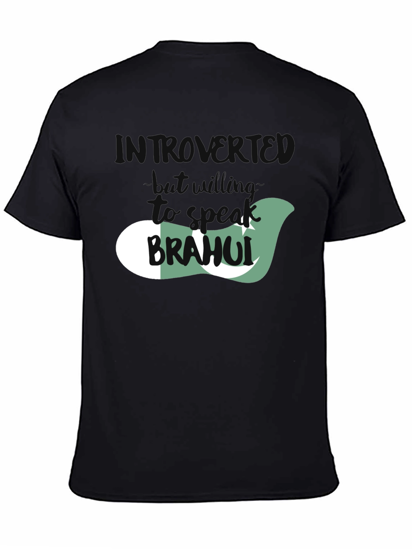 Introvert T-Shirt with Pakistan Flag Design