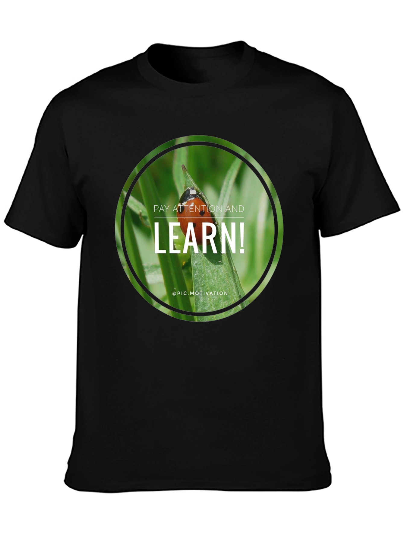 Pay Attention and Learn! Graphic Tee