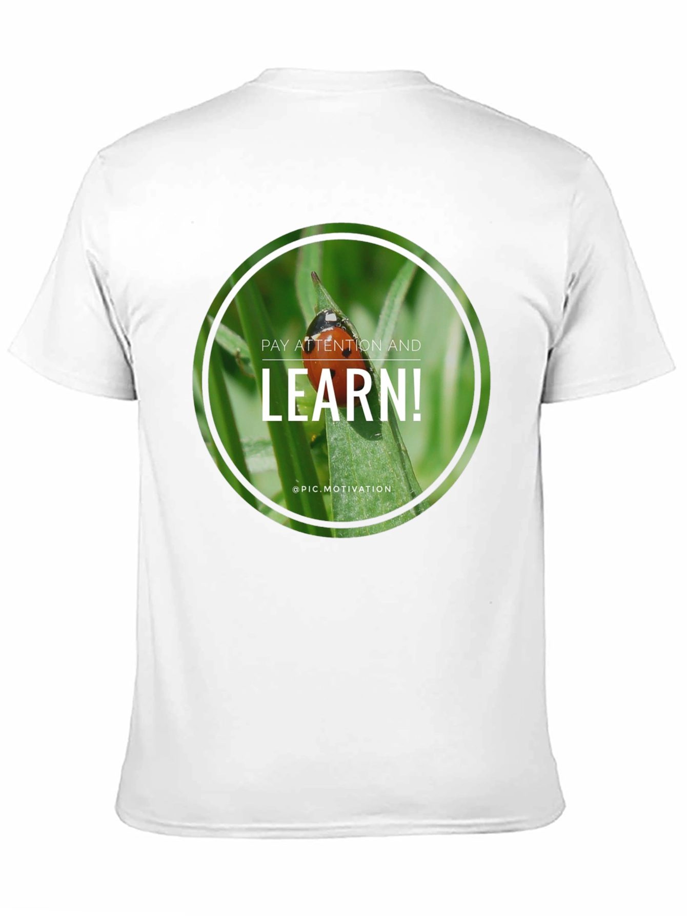 Pay Attention and Learn! Graphic Tee
