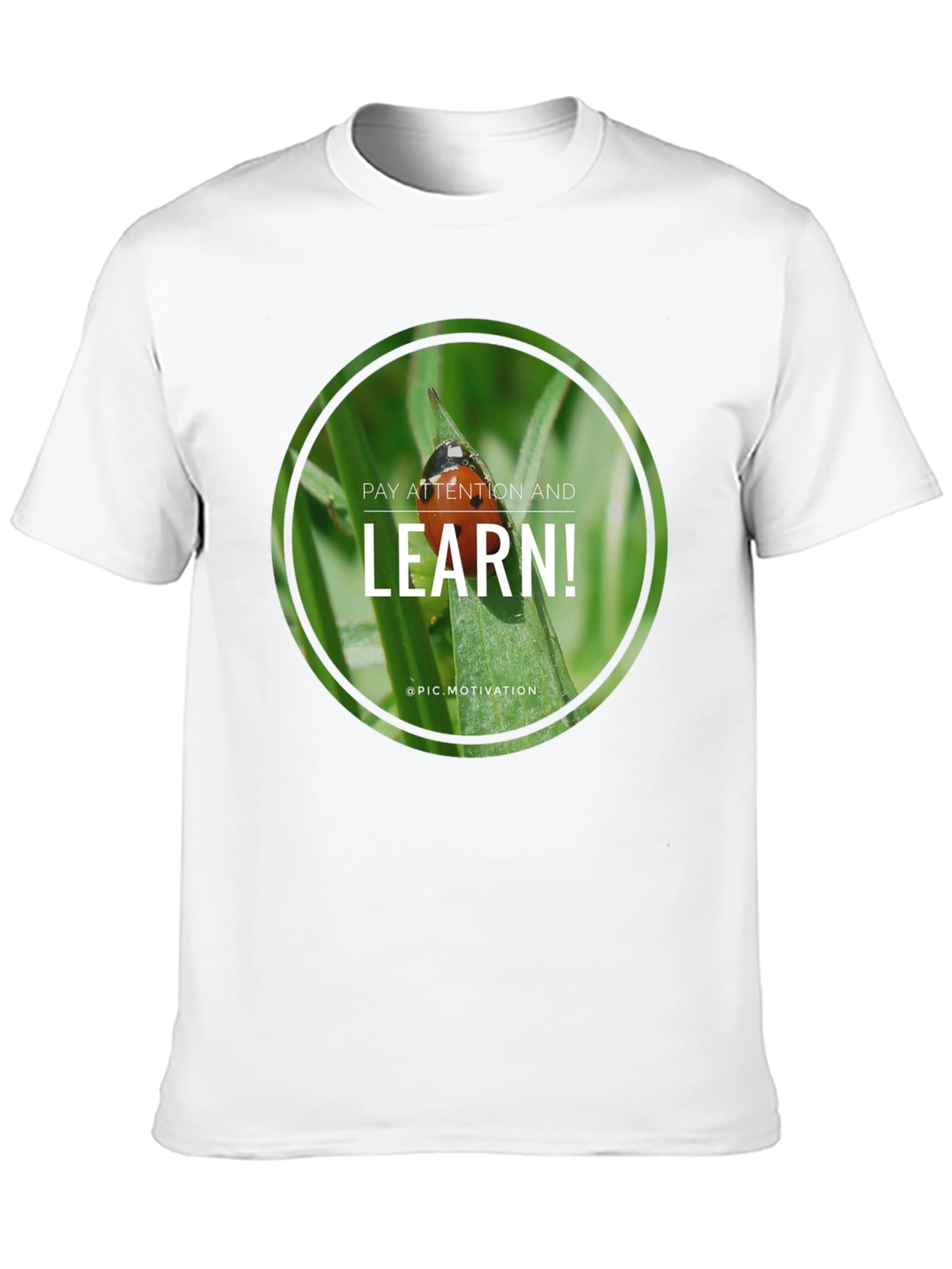 Pay Attention and Learn! Graphic Tee