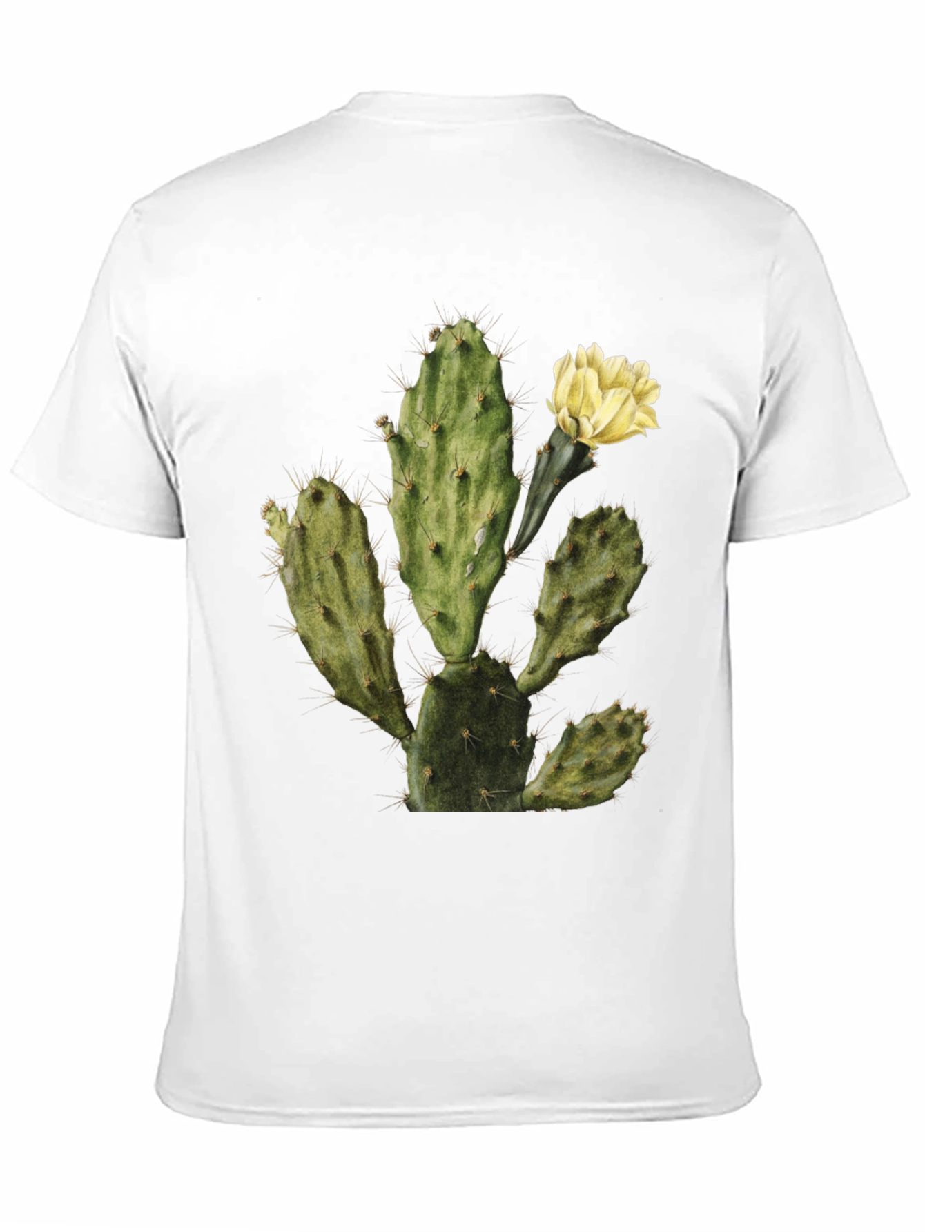 Cactus Graphic Tee - Black Cotton T-Shirt