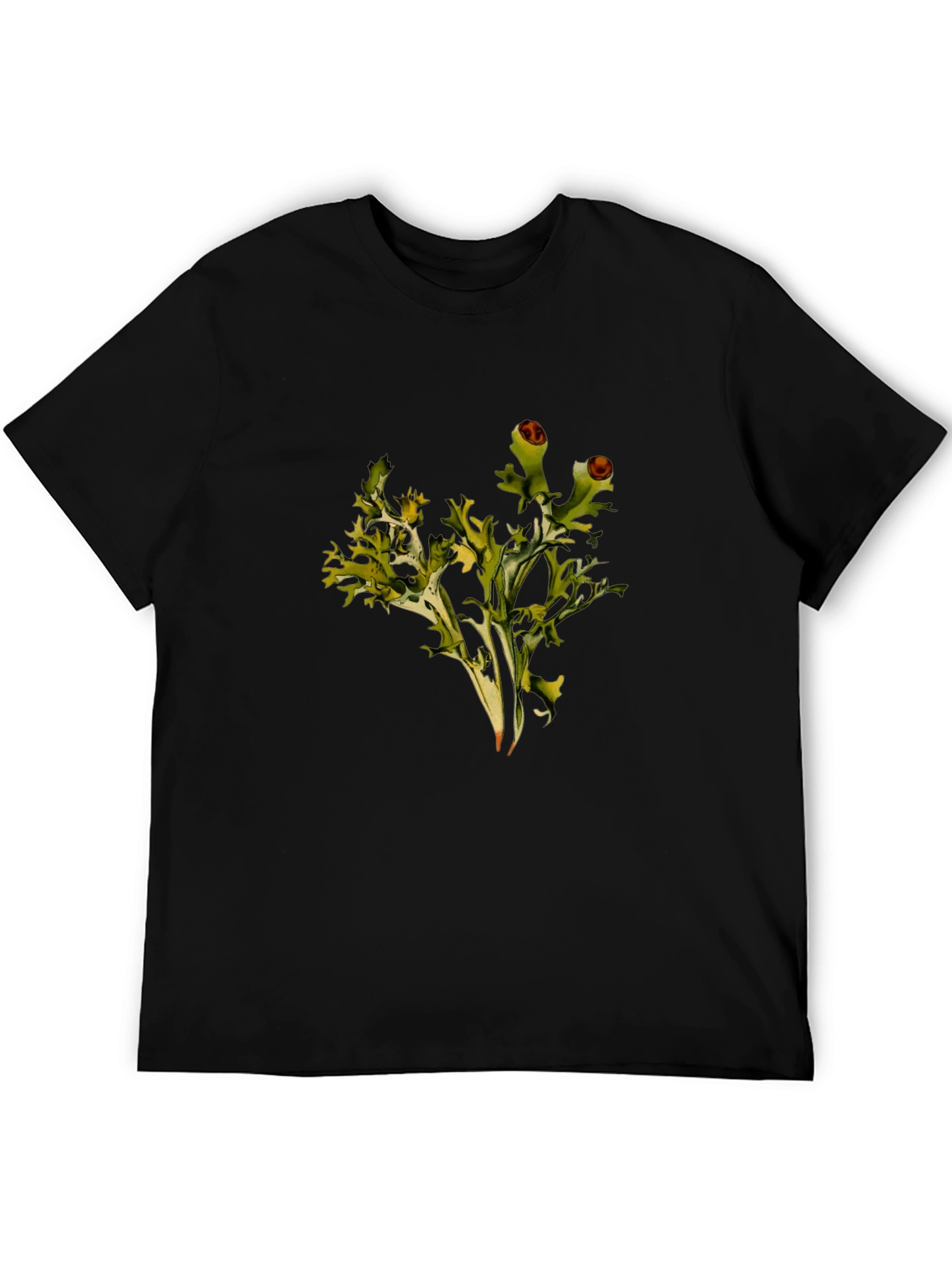 Lichen Graphic Black T-Shirt