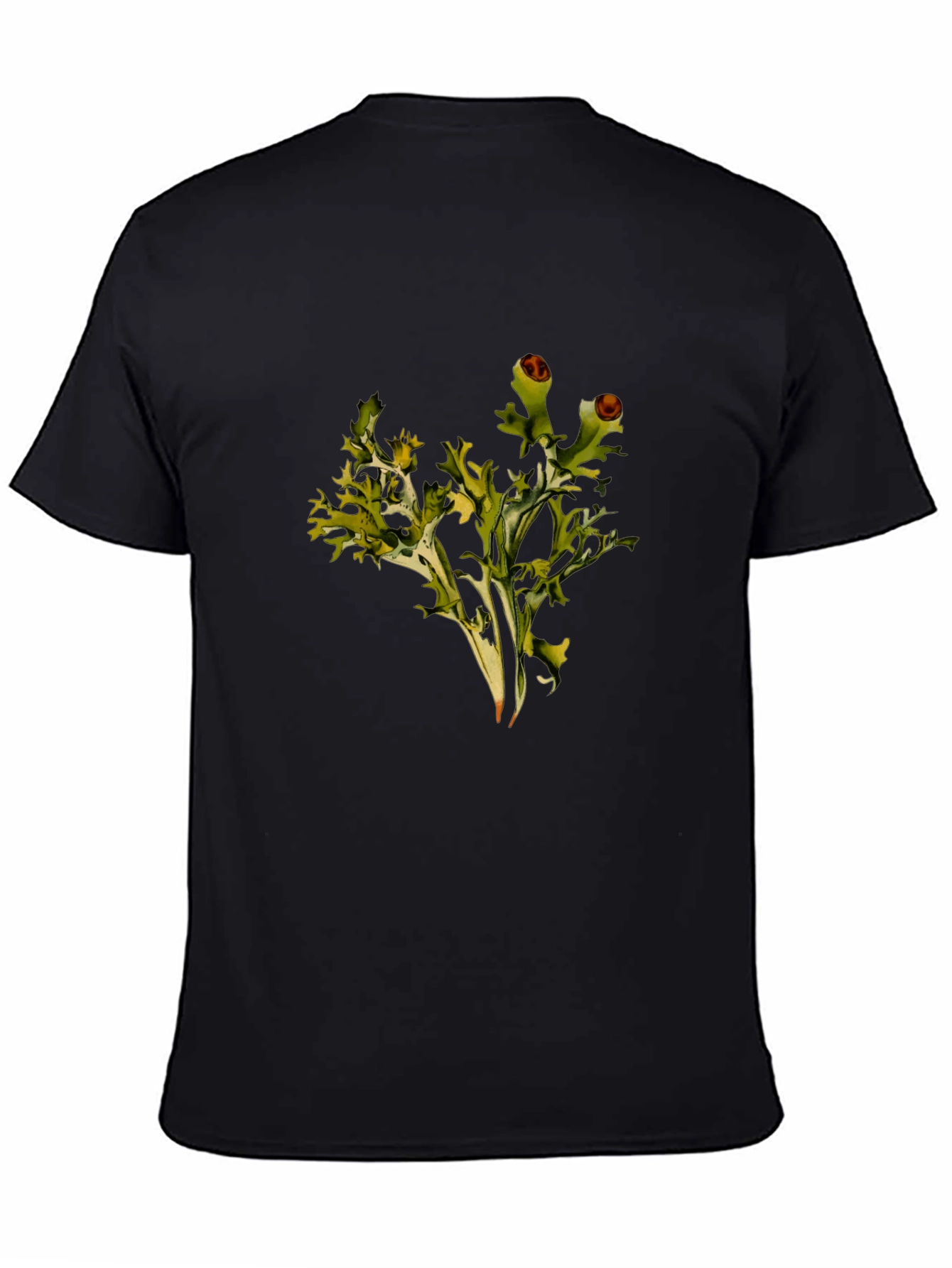 Lichen Graphic Black T-Shirt