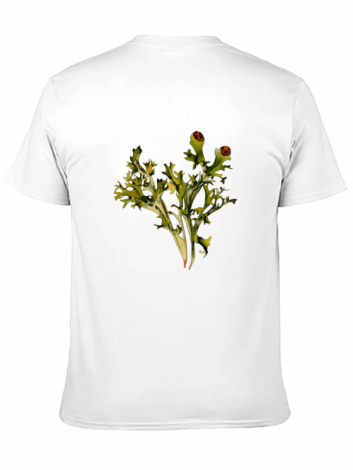 Lichen Graphic Black T-Shirt