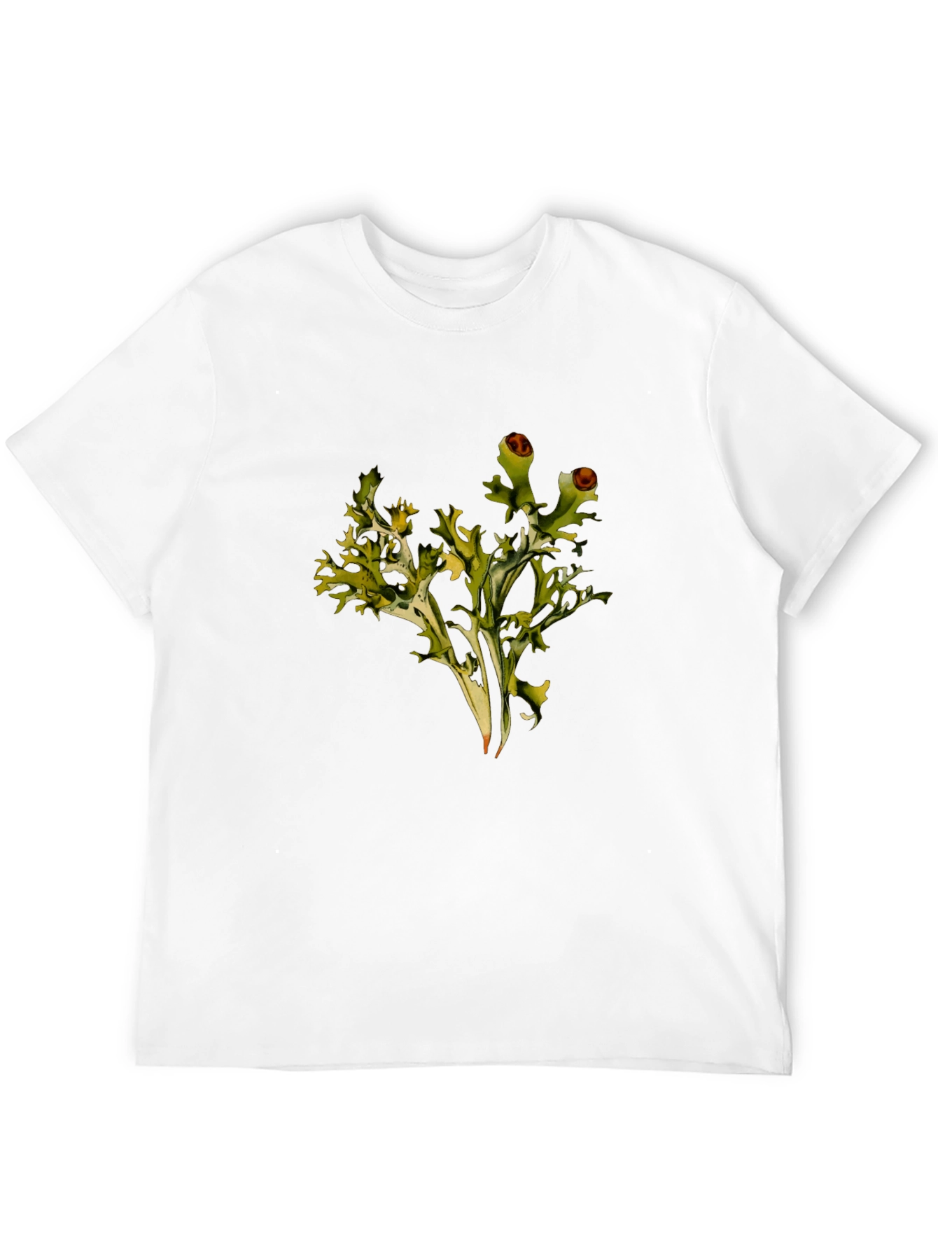 Lichen Graphic Black T-Shirt