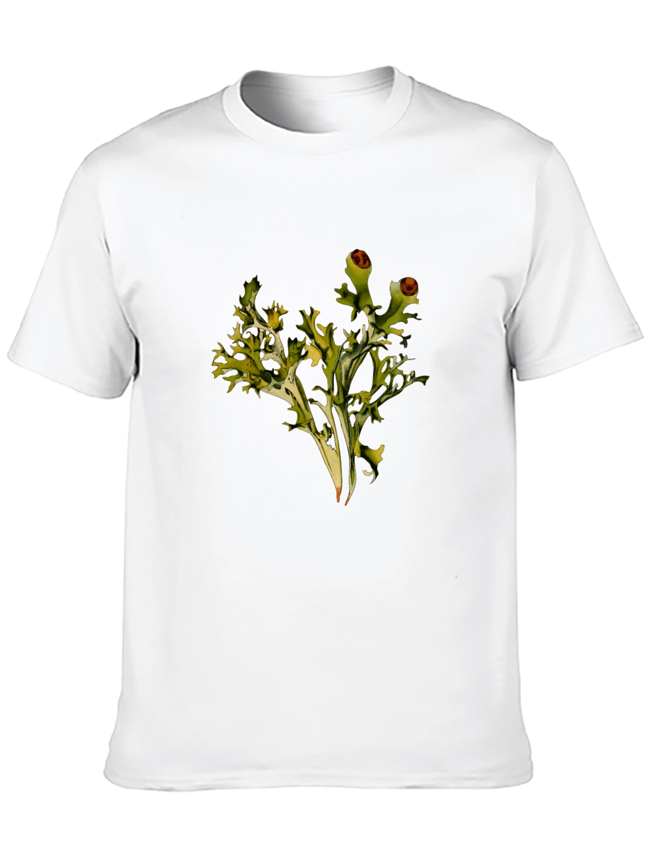 Lichen Graphic Black T-Shirt