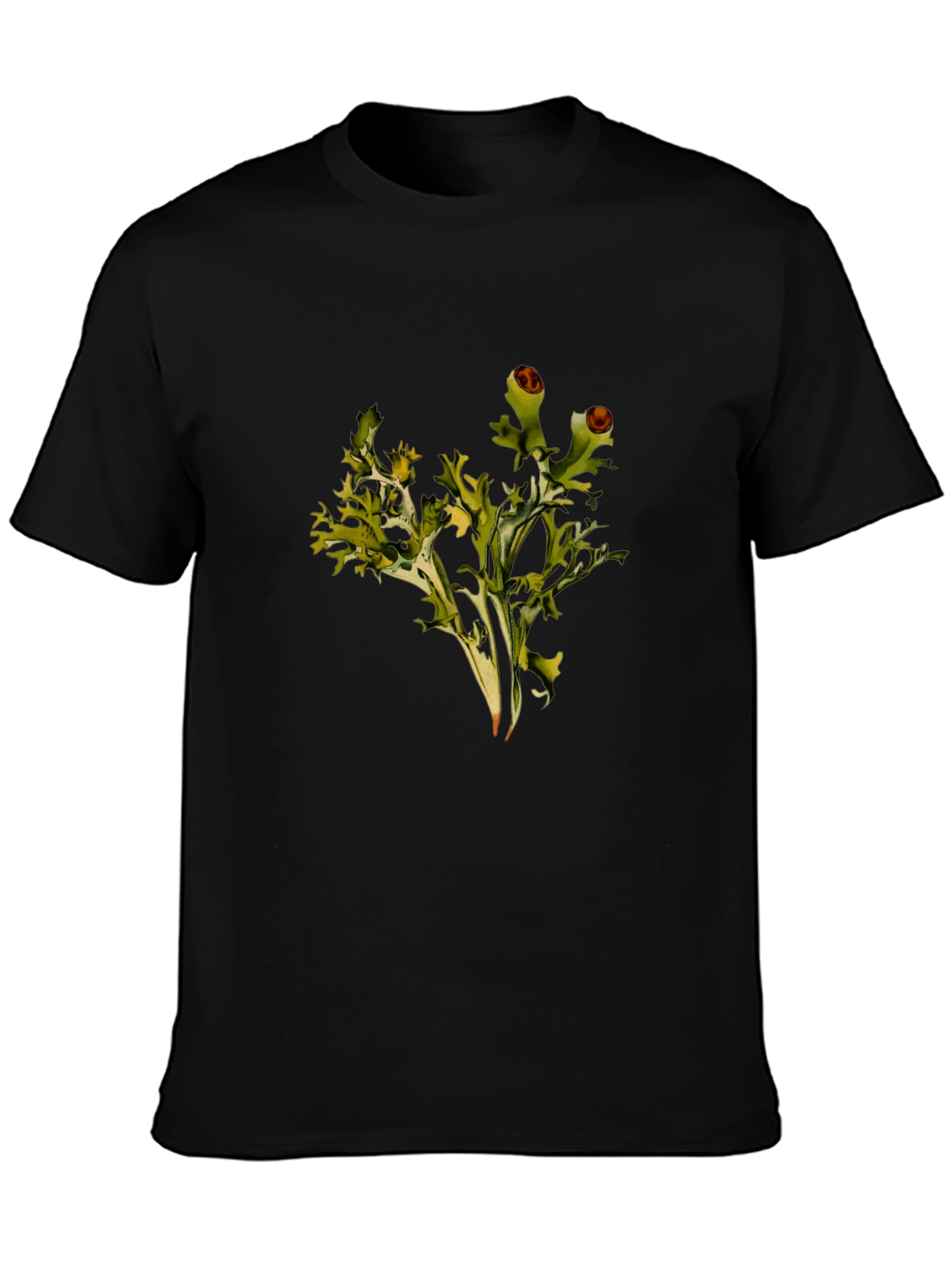 Lichen Graphic Black T-Shirt
