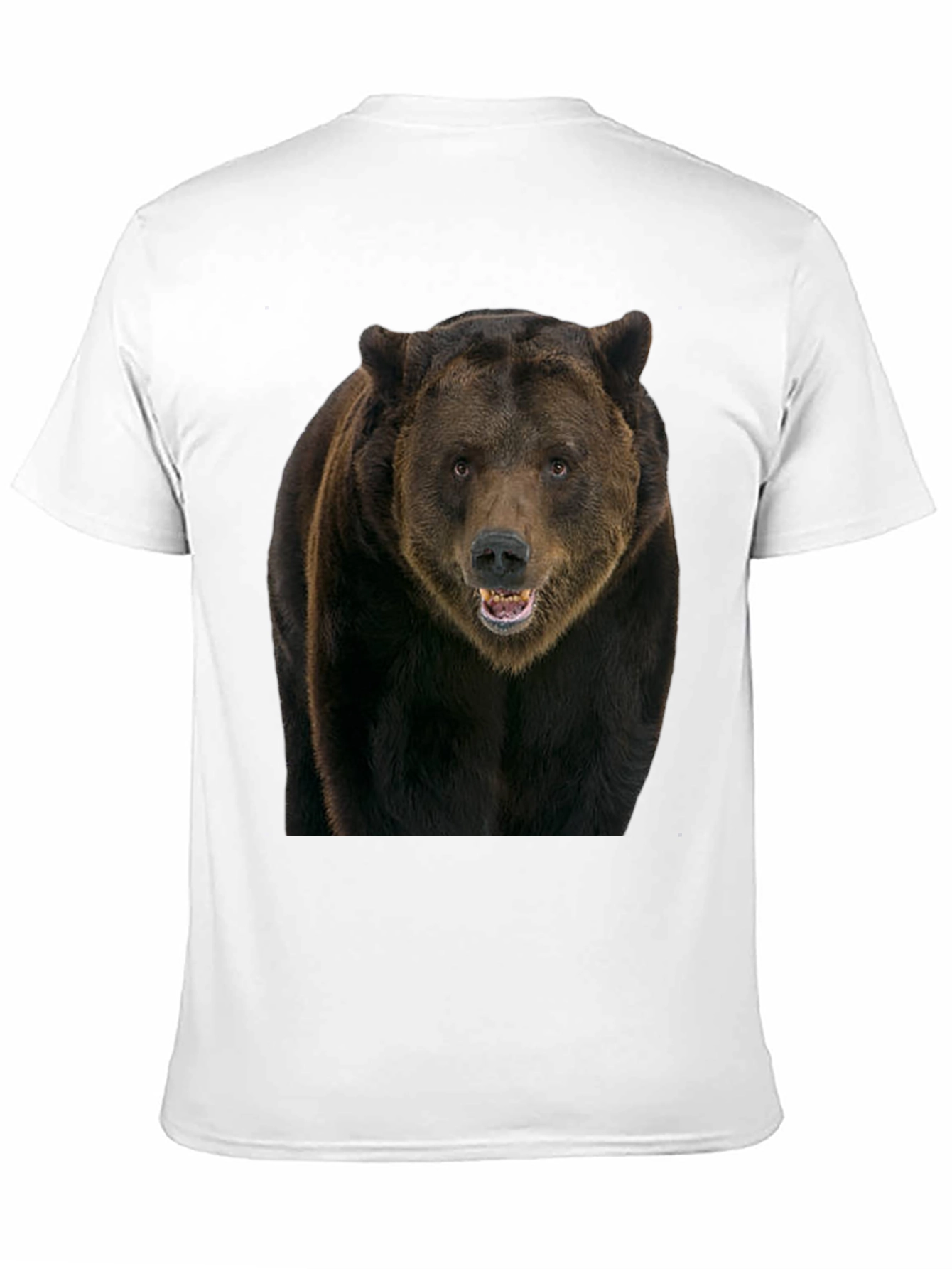 Grizzly Bear Graphic Tee - Black Cotton Shirt