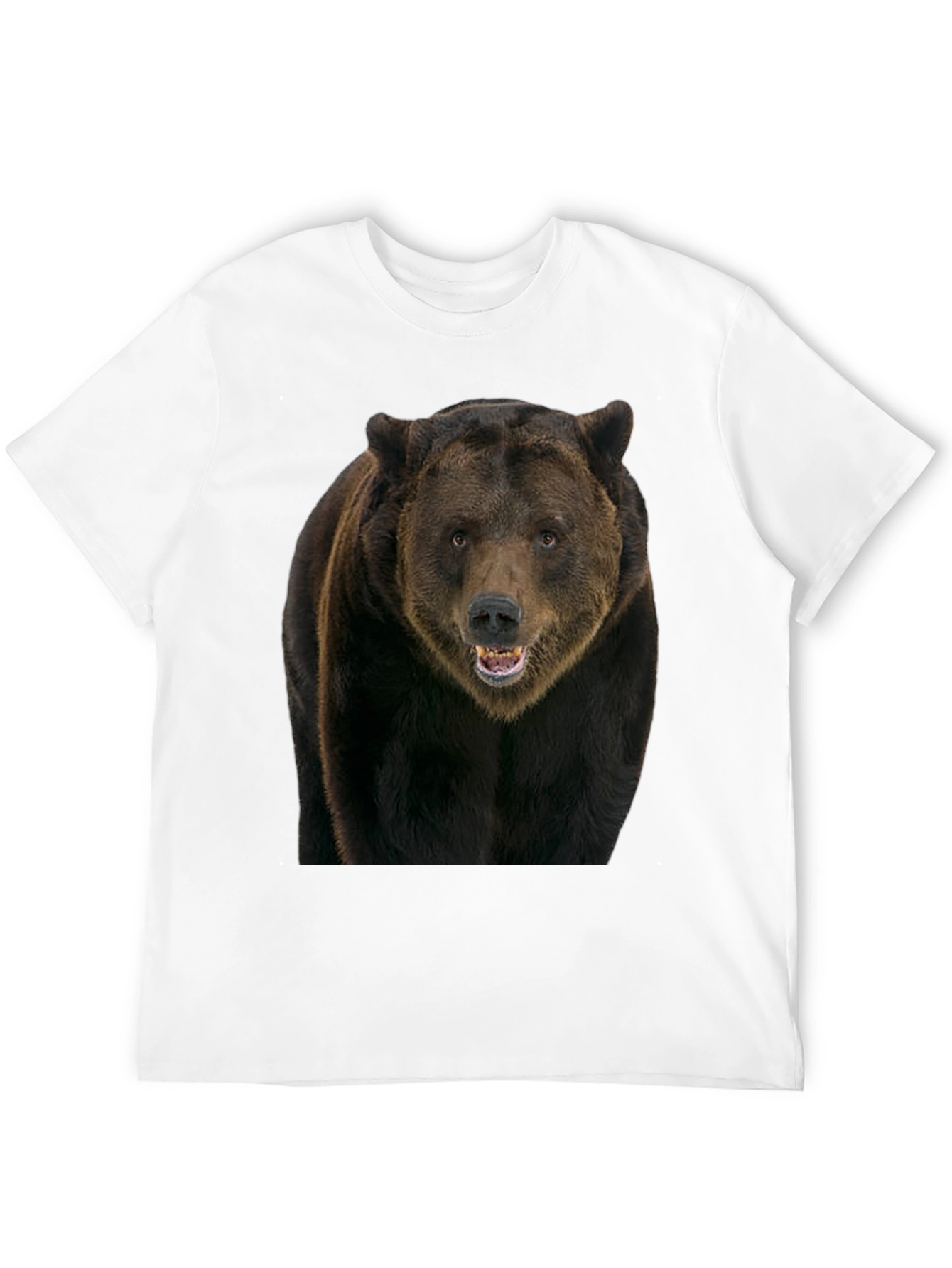 Grizzly Bear Graphic Tee - Black Cotton Shirt