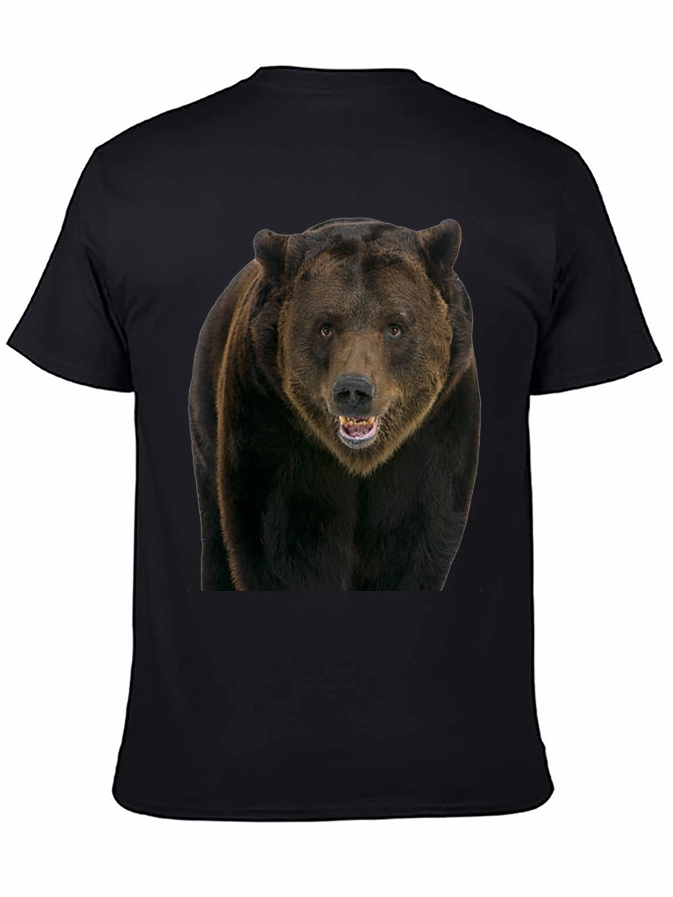 Grizzly Bear Graphic Tee - Black Cotton Shirt