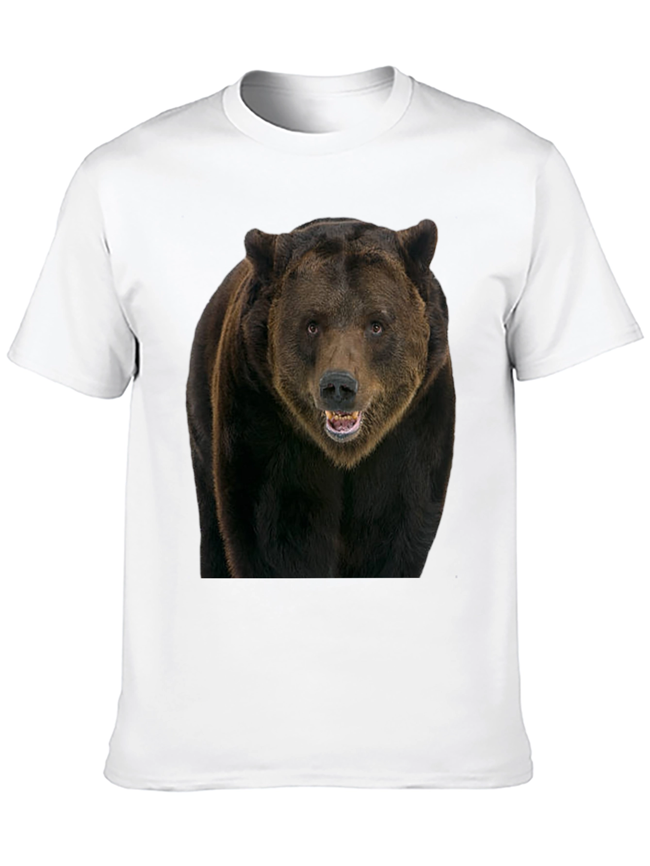 Grizzly Bear Graphic Tee - Black Cotton Shirt