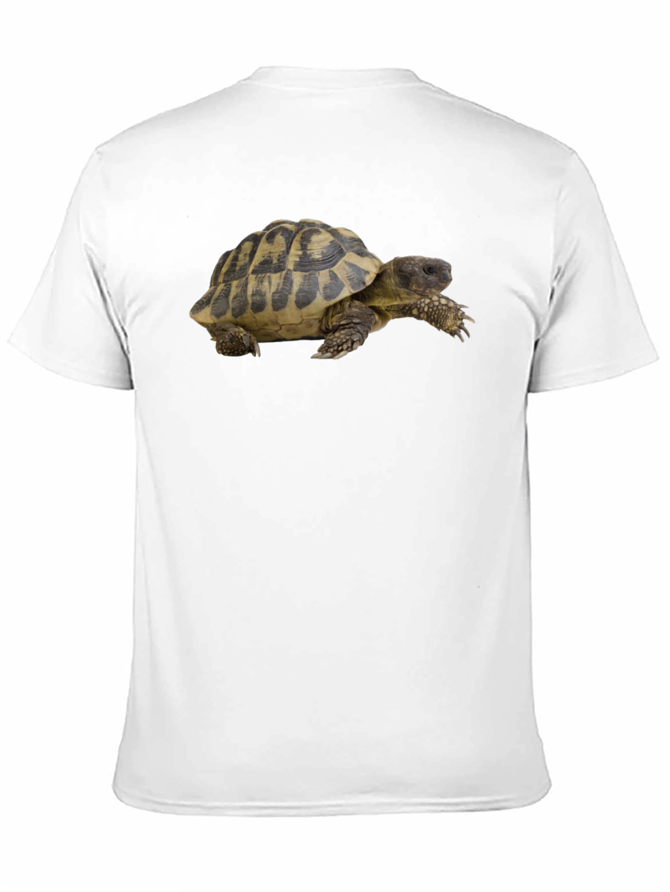 Turtle Graphic T-Shirt - Cool Animal Tee