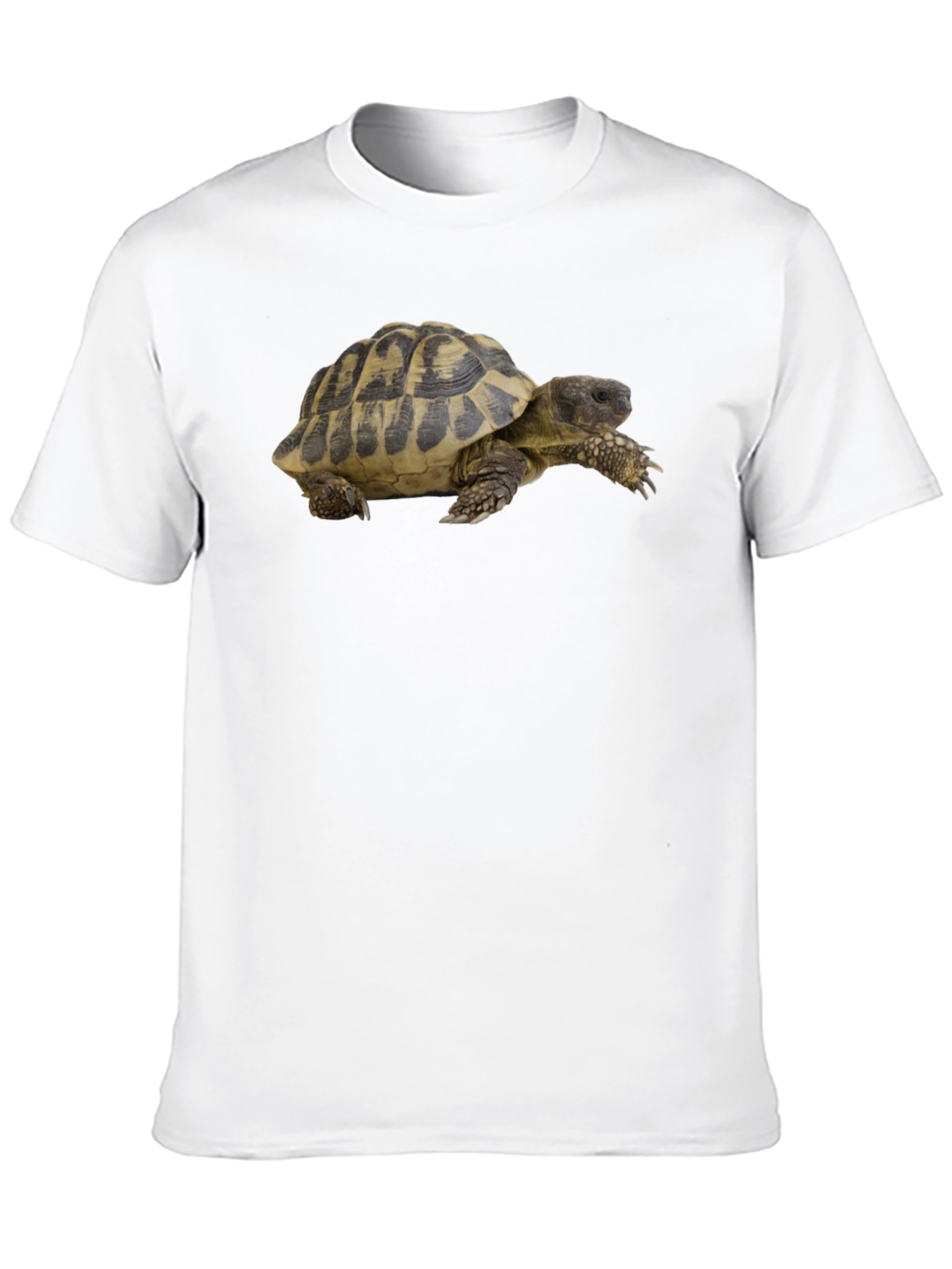 Turtle Graphic T-Shirt - Cool Animal Tee