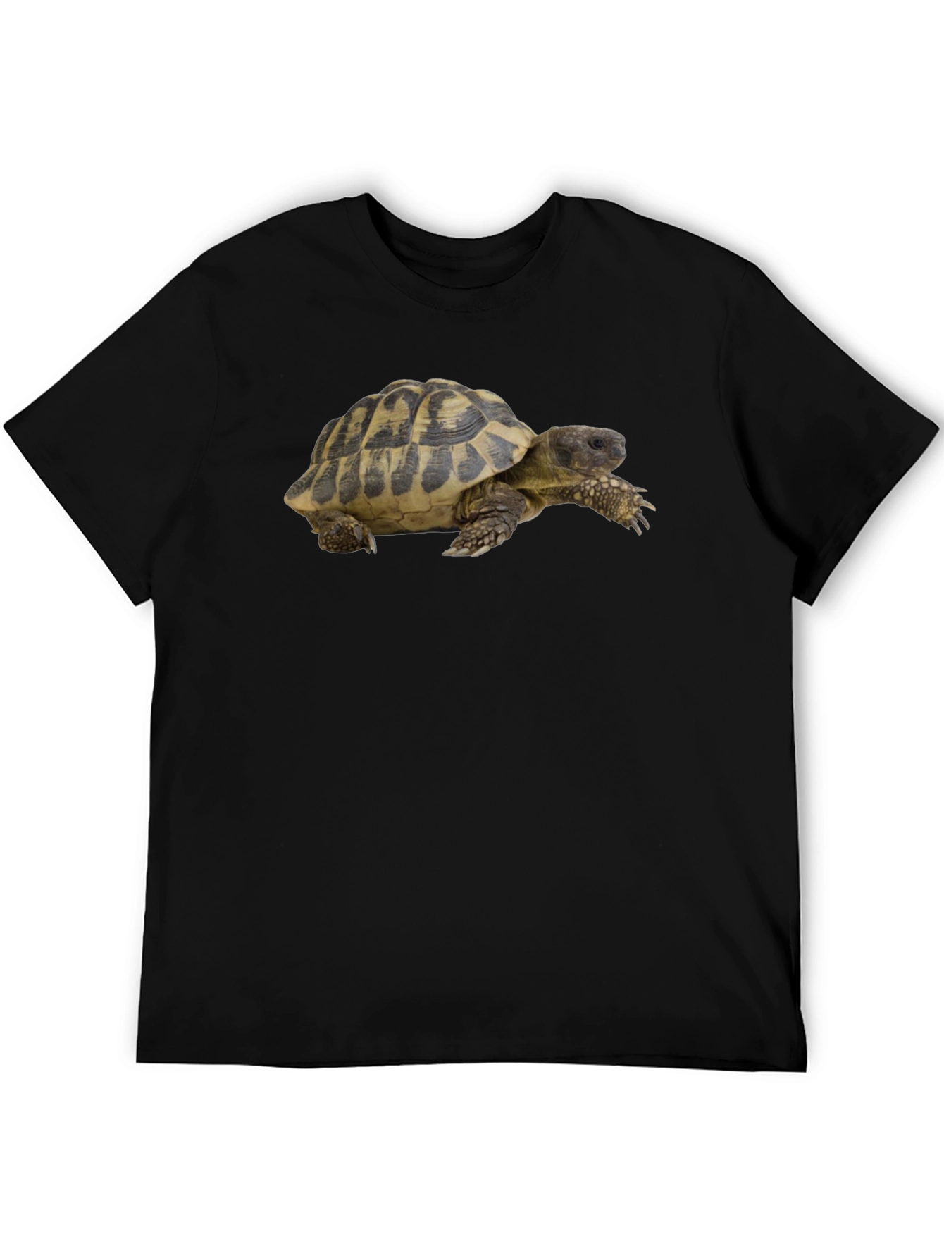 Turtle Graphic T-Shirt - Cool Animal Tee