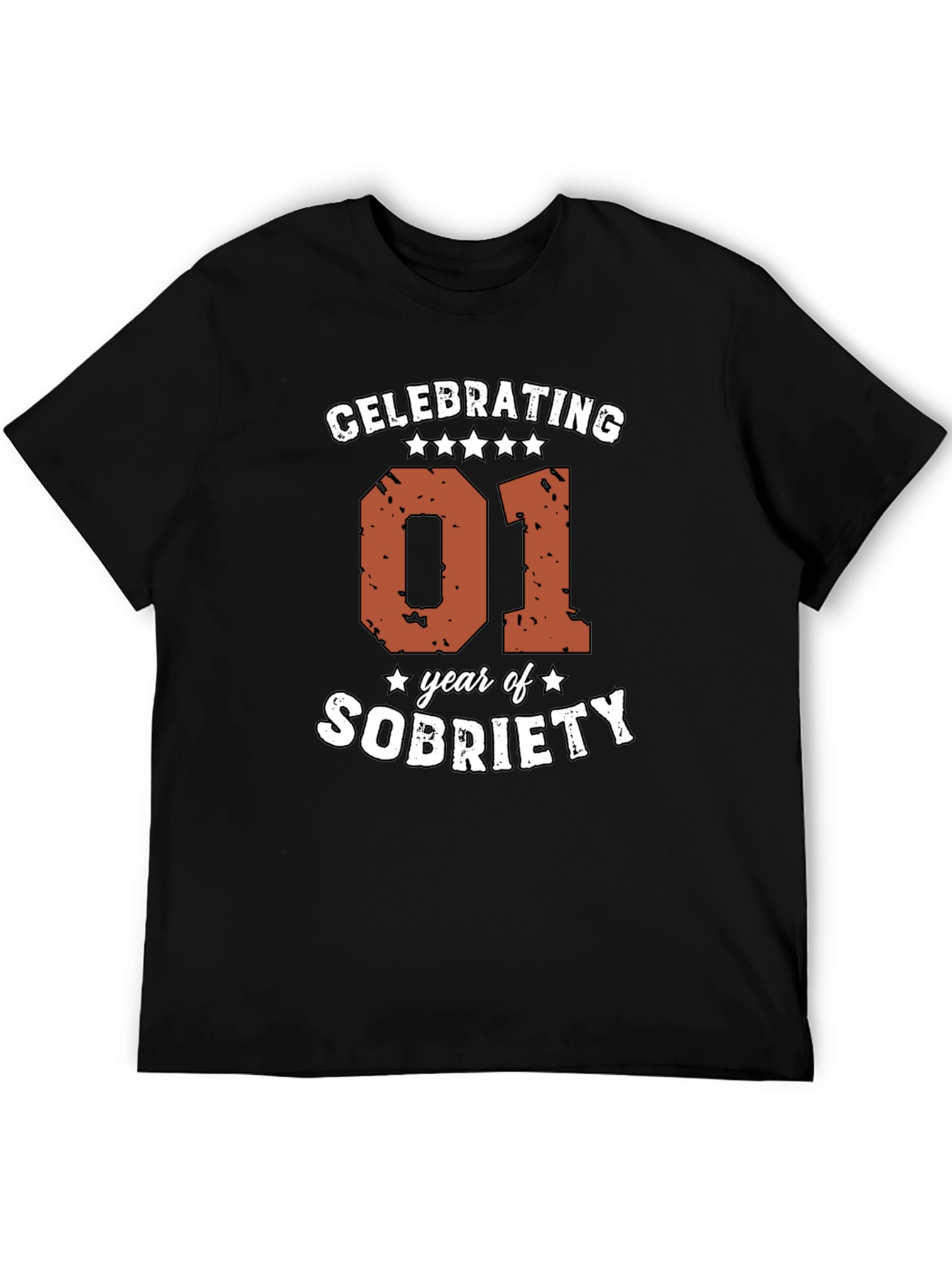 Celebrating 01 Year of Sobriety Graphic Tee