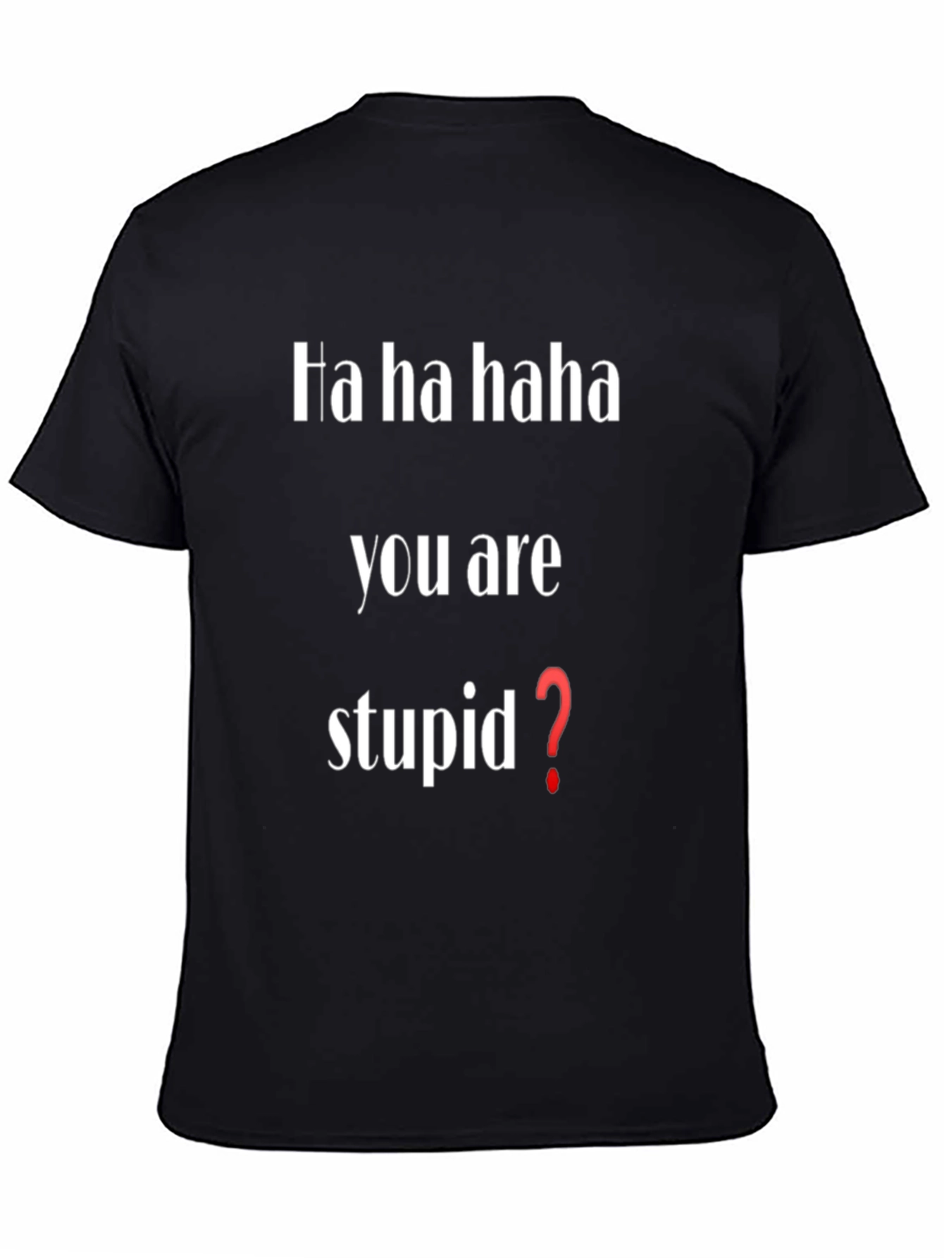Funny Ha Ha You Are Stupid? T-Shirt