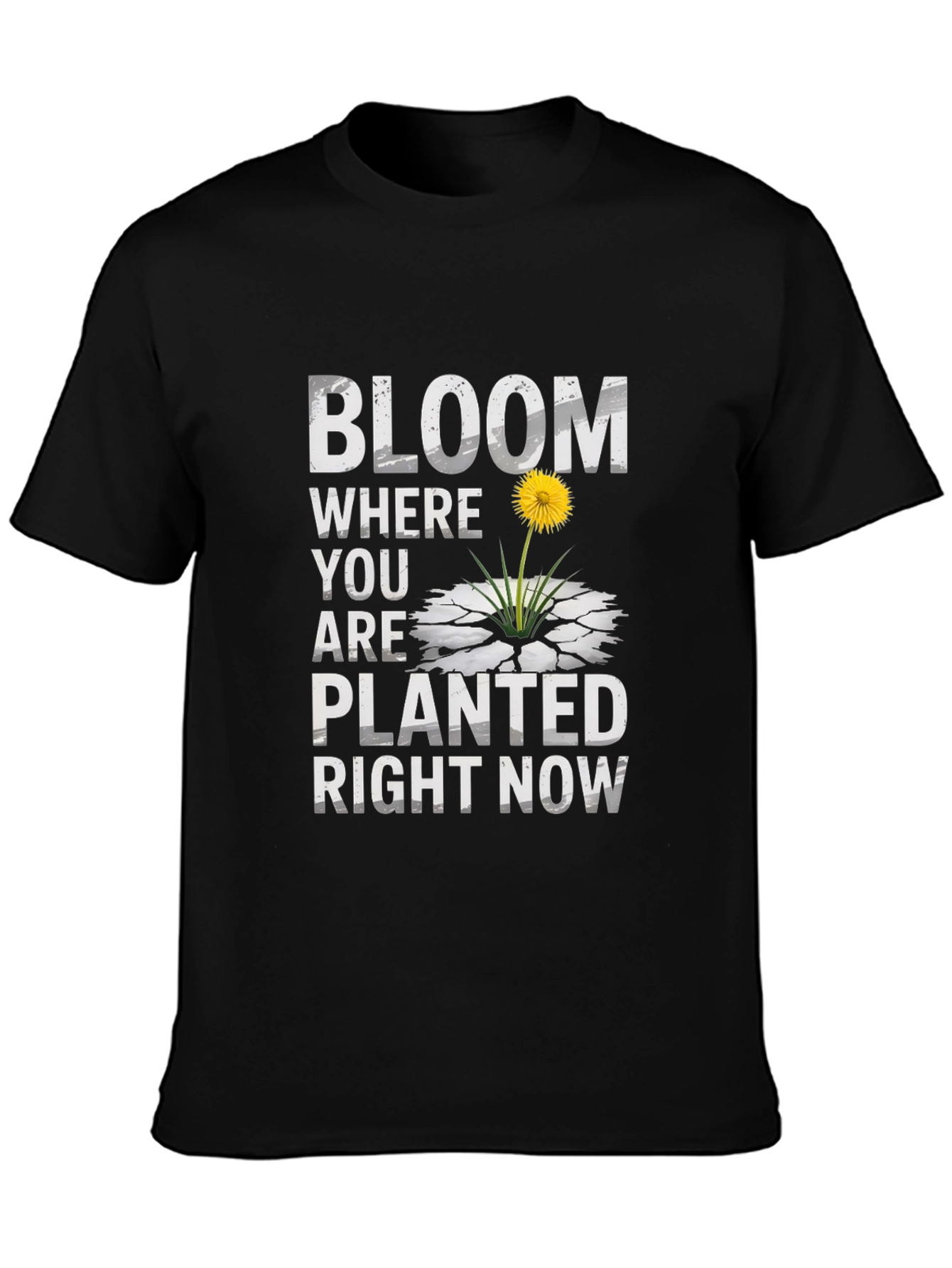 Bloom Where You Are Planted Graphic T-Shirt