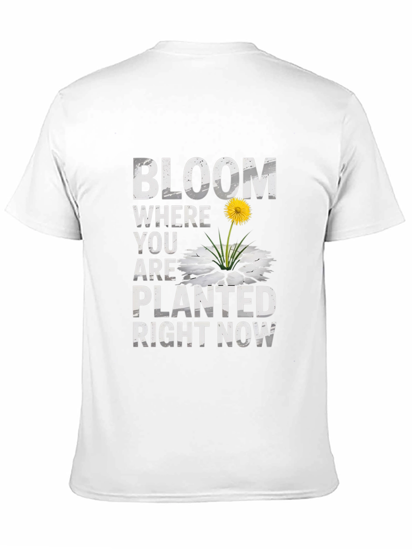 Bloom Where You Are Planted Graphic T-Shirt