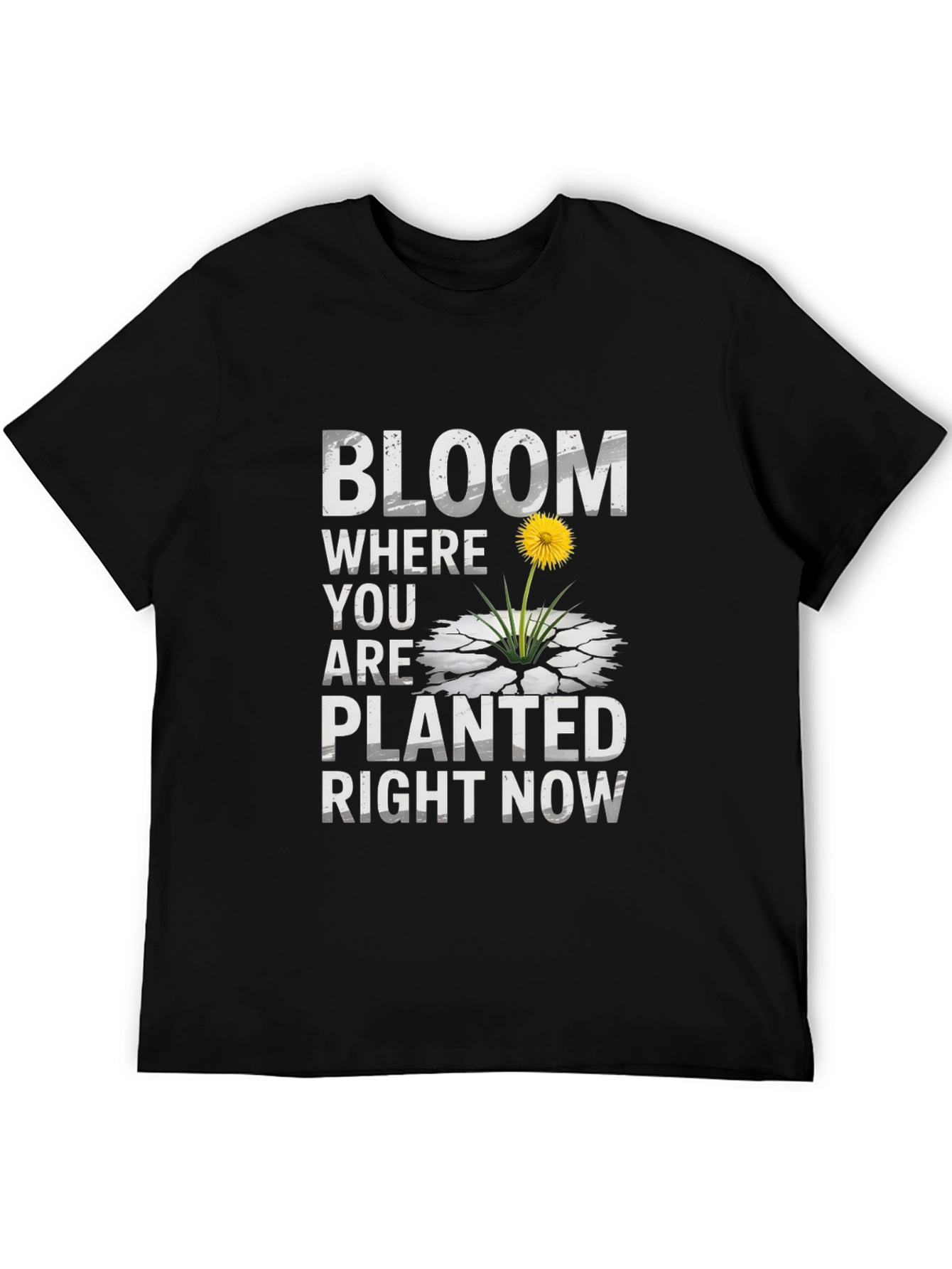 Bloom Where You Are Planted Graphic T-Shirt