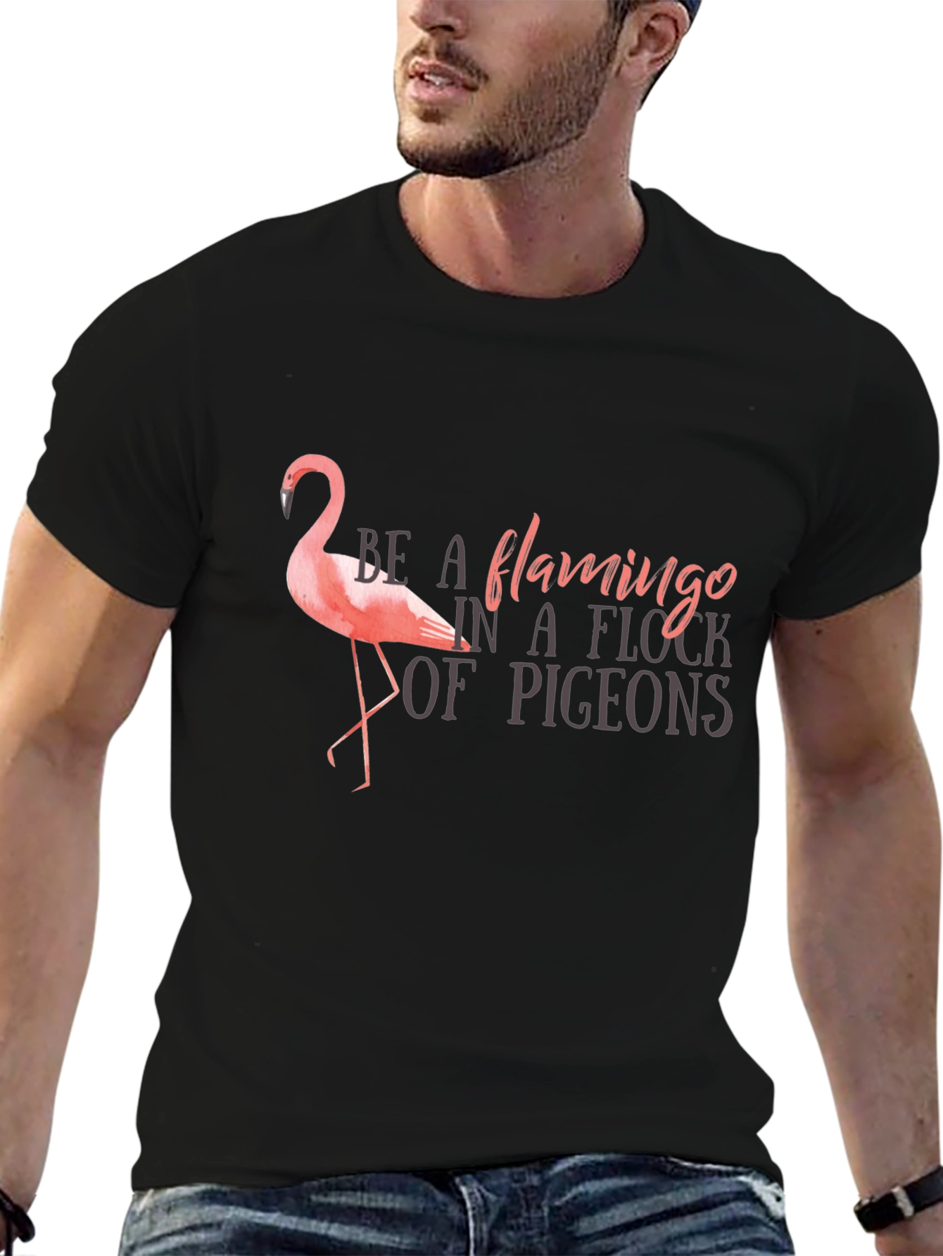 Be a Flamingo T-Shirt