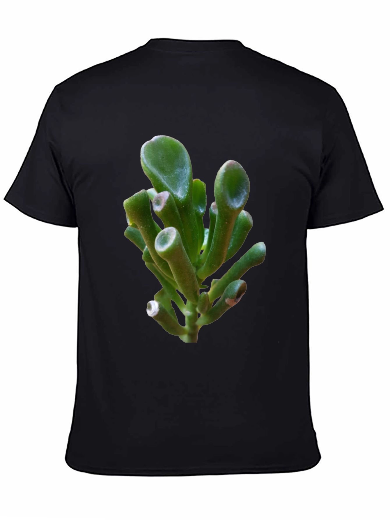Unique Succulent Graphic Tee - Black Cotton T-Shirt