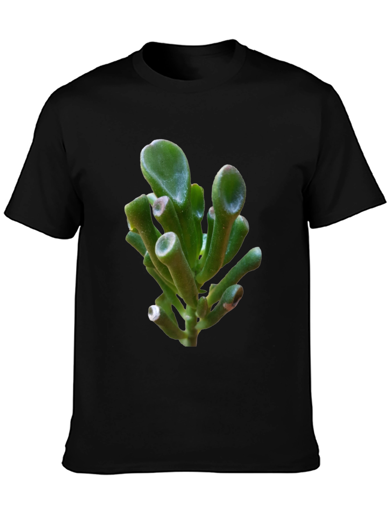 Unique Succulent Graphic Tee - Black Cotton T-Shirt