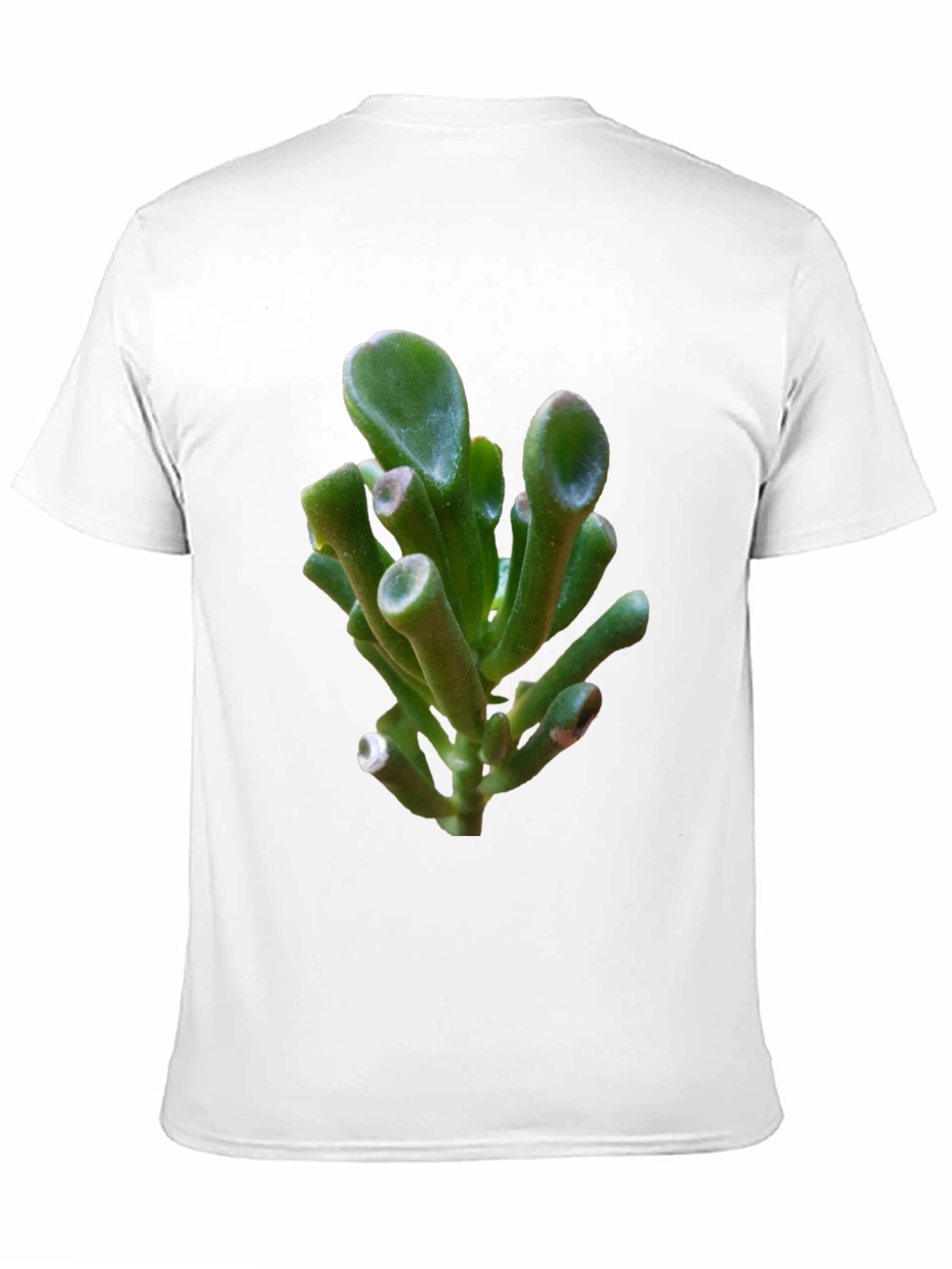 Unique Succulent Graphic Tee - Black Cotton T-Shirt