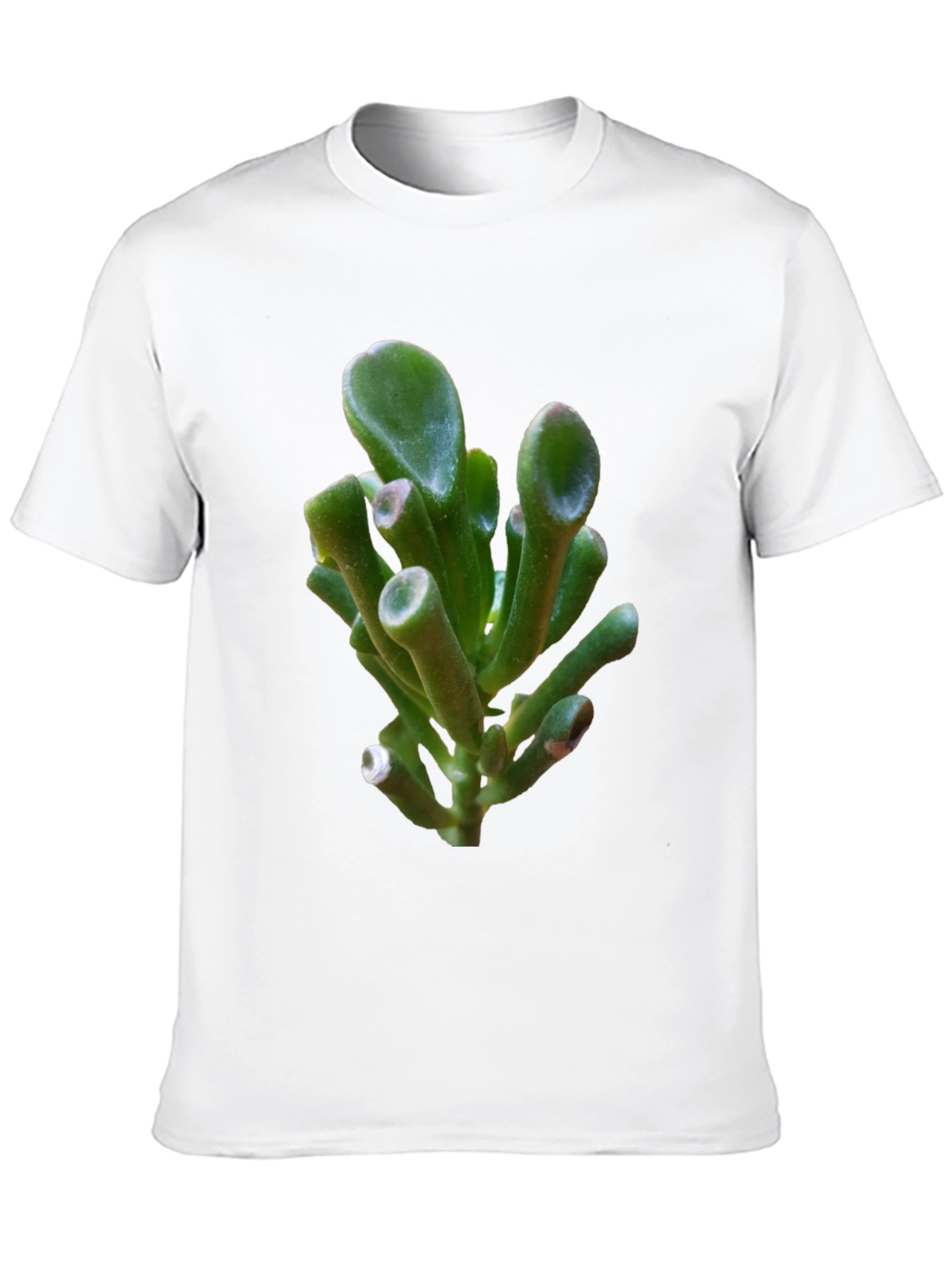 Unique Succulent Graphic Tee - Black Cotton T-Shirt