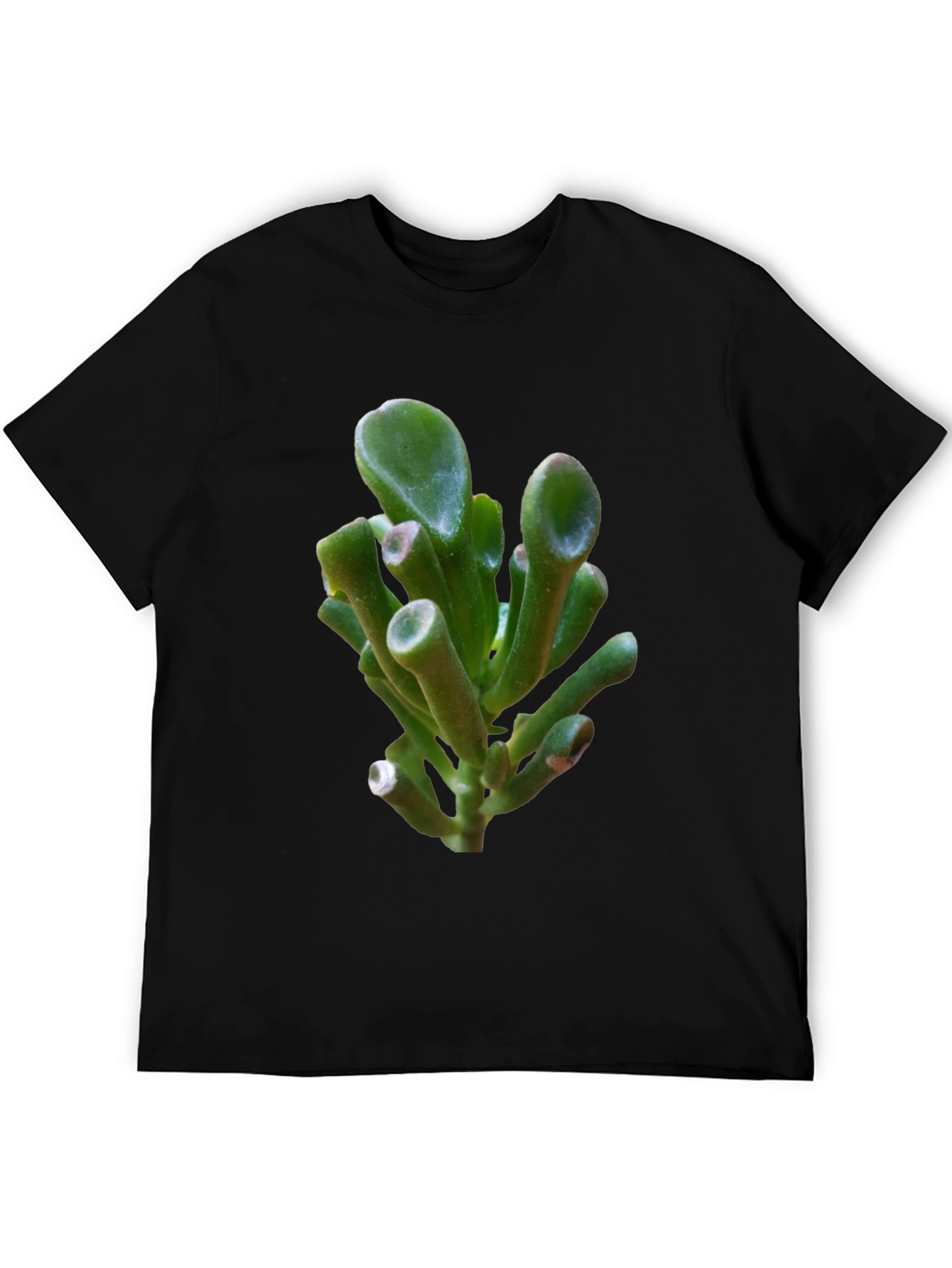 Unique Succulent Graphic Tee - Black Cotton T-Shirt