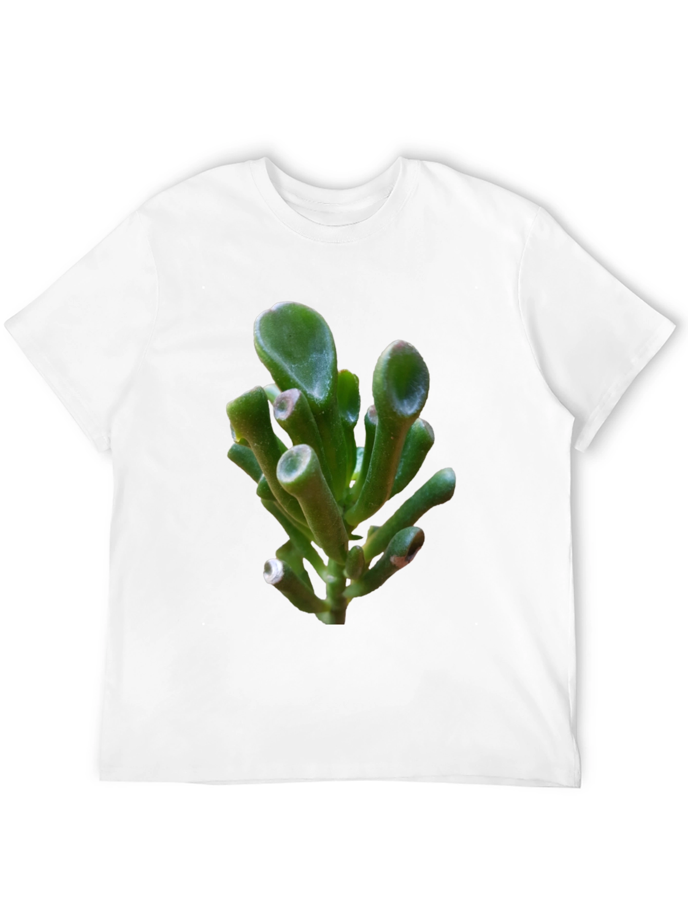 Unique Succulent Graphic Tee - Black Cotton T-Shirt