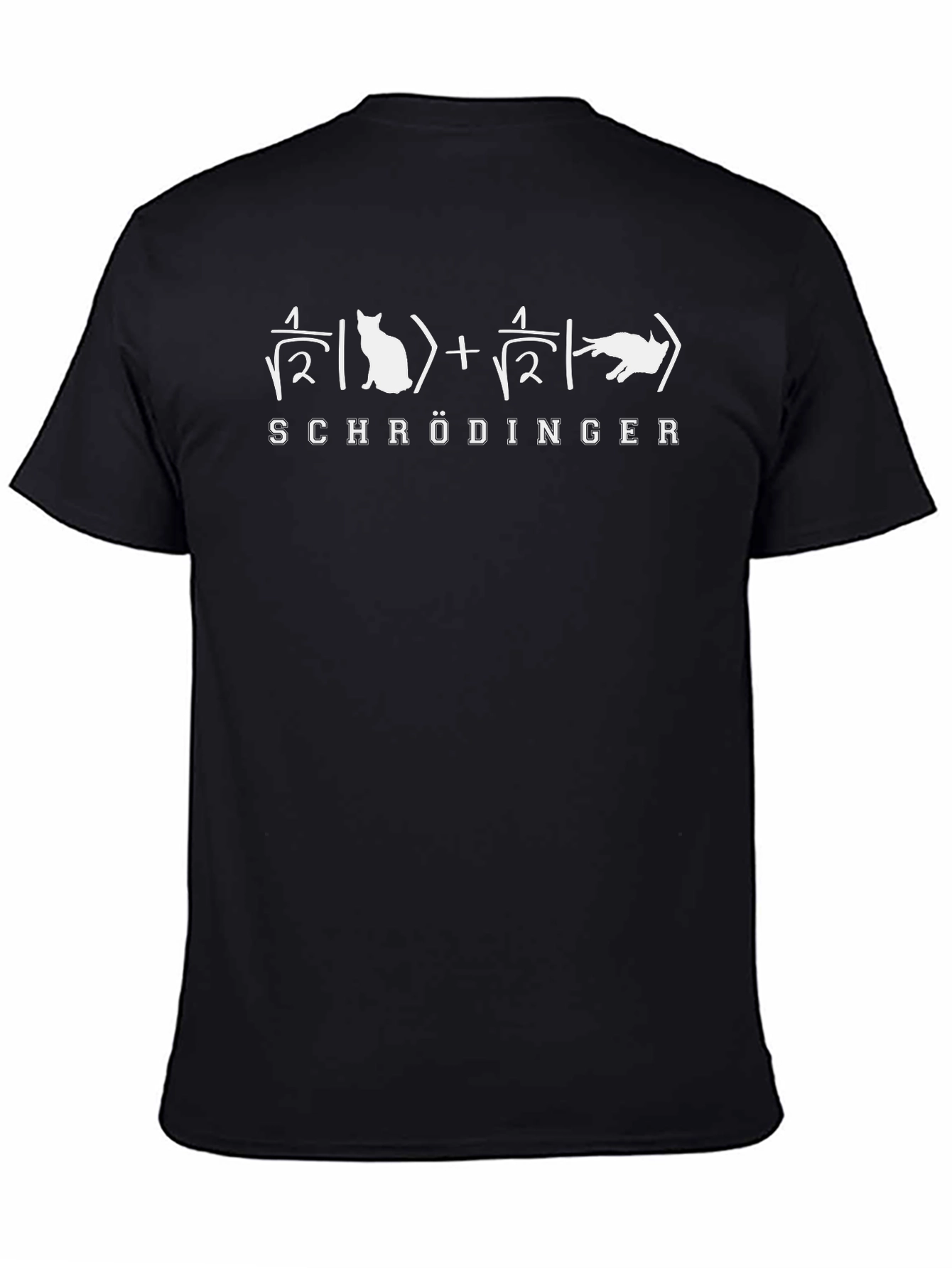 Schrödingers Cat Equation T-Shirt