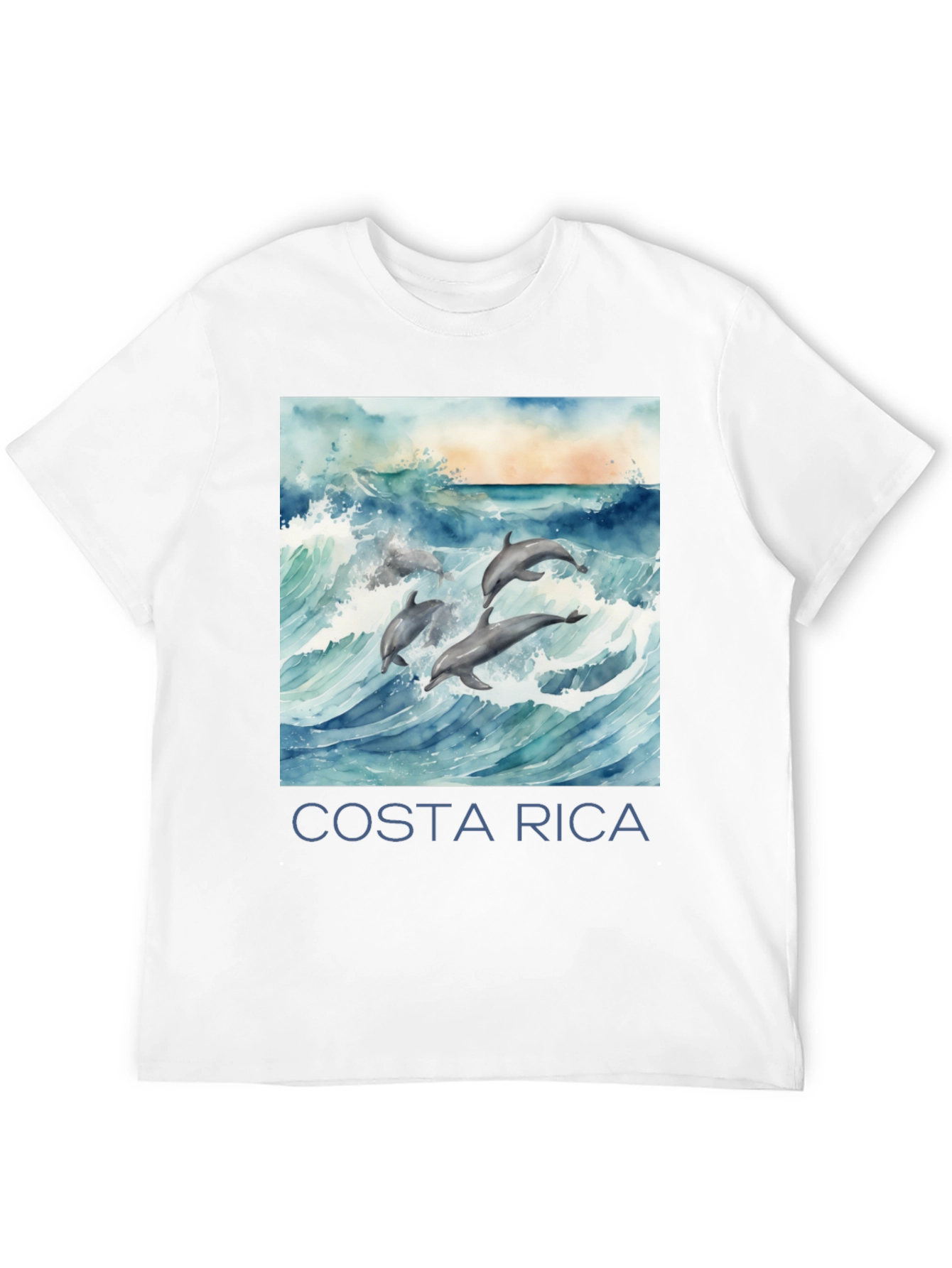 Costa Rica Dolphin Tee - Black Graphic T-Shirt